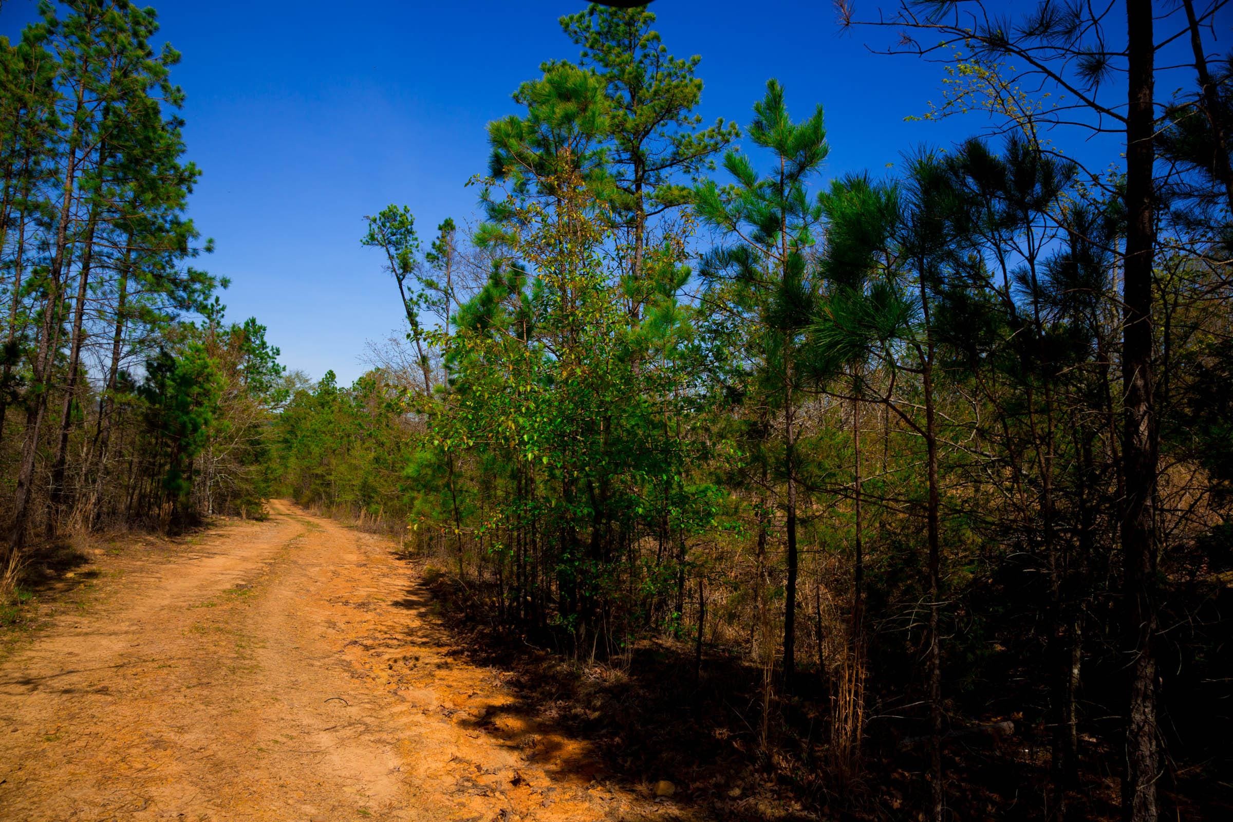 Stone Creek Phase II Tract 219 photo 5