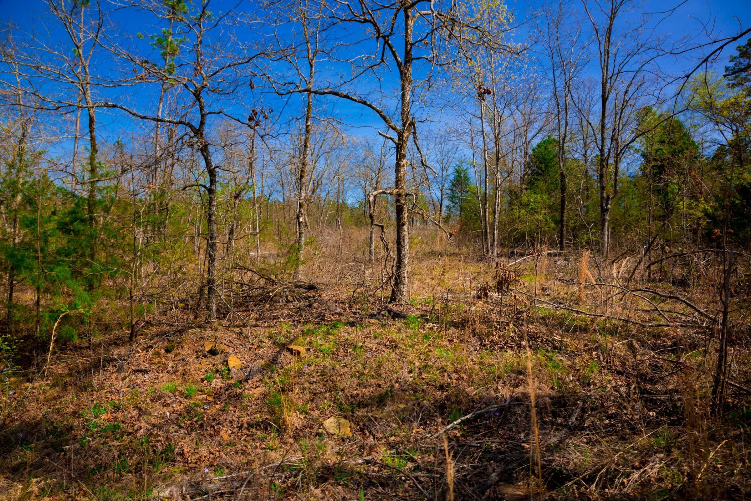 Stone Creek Phase II Tract 219 photo 6