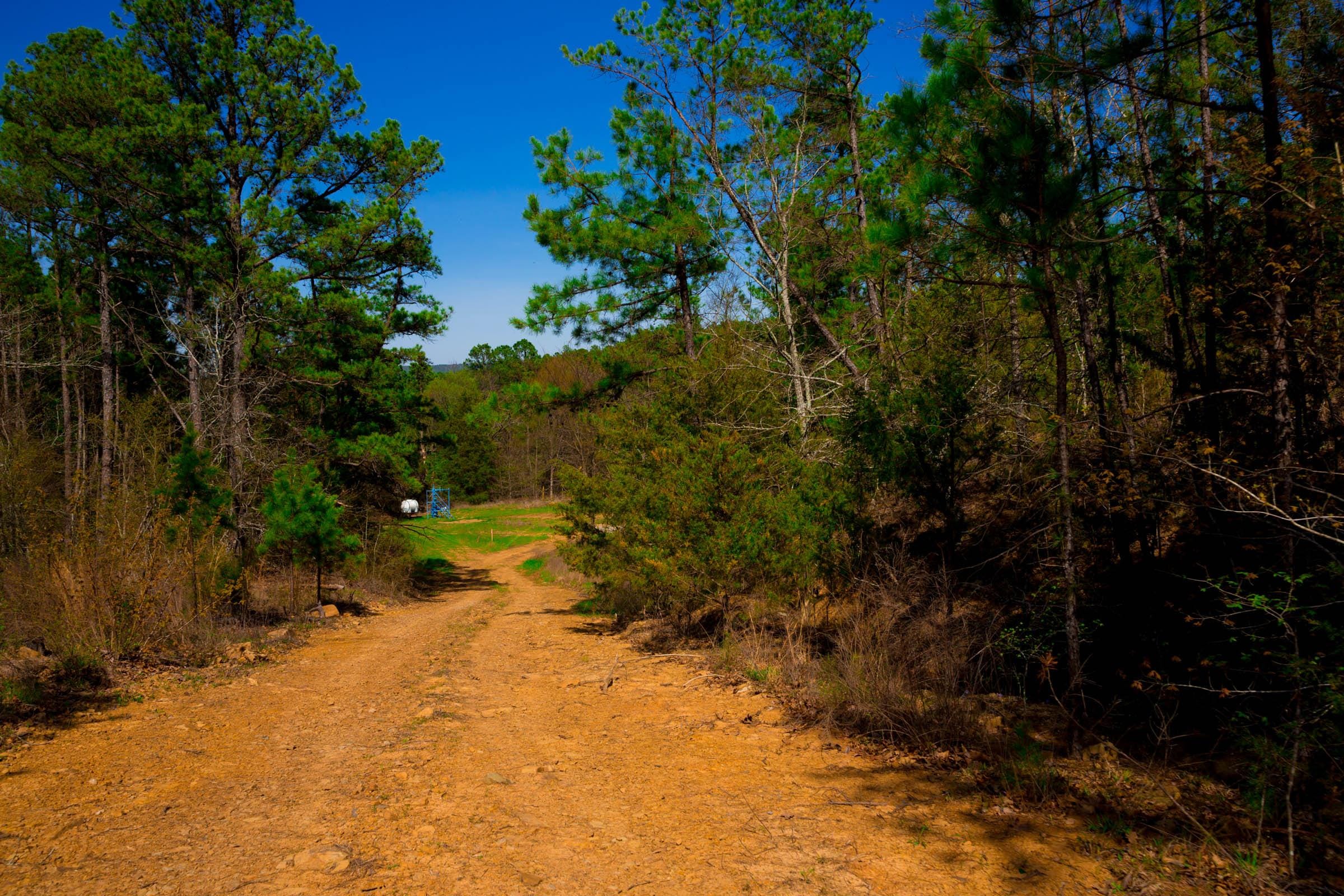 Stone Creek Phase II Tract 219 photo 7