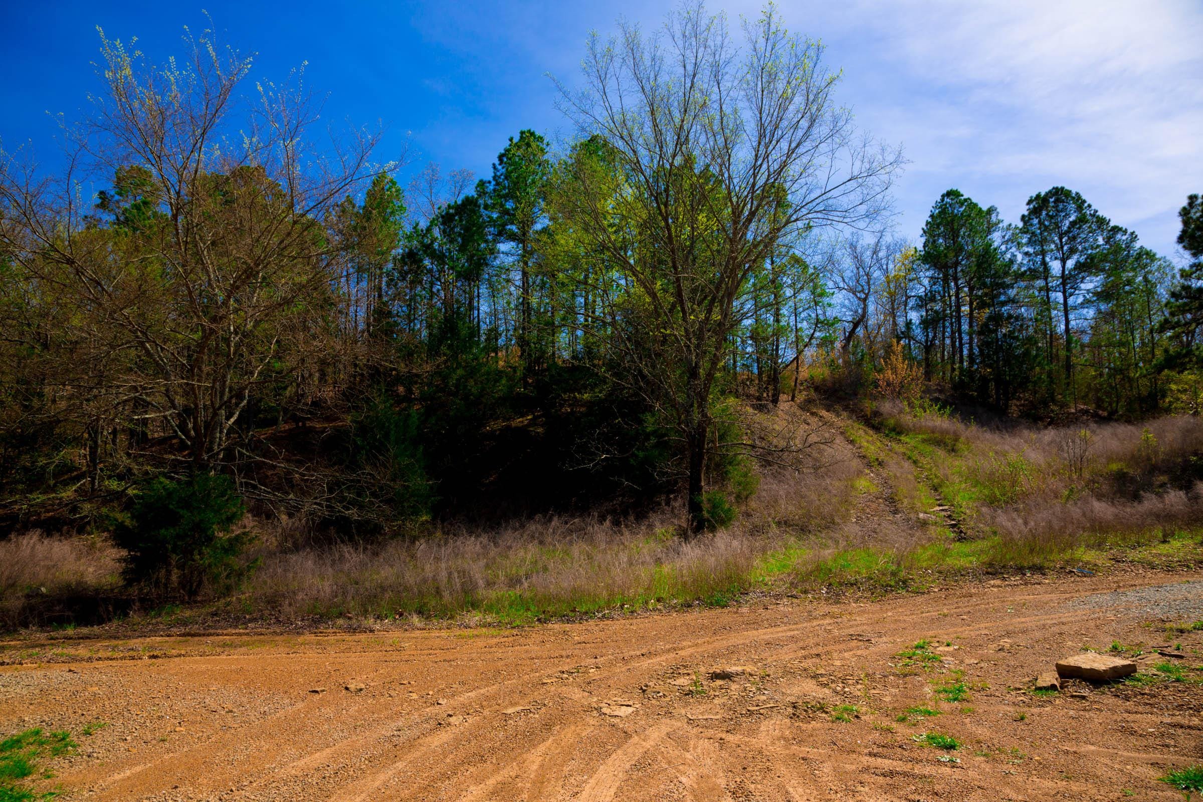 Stone Creek Phase II Tract 219 photo 8