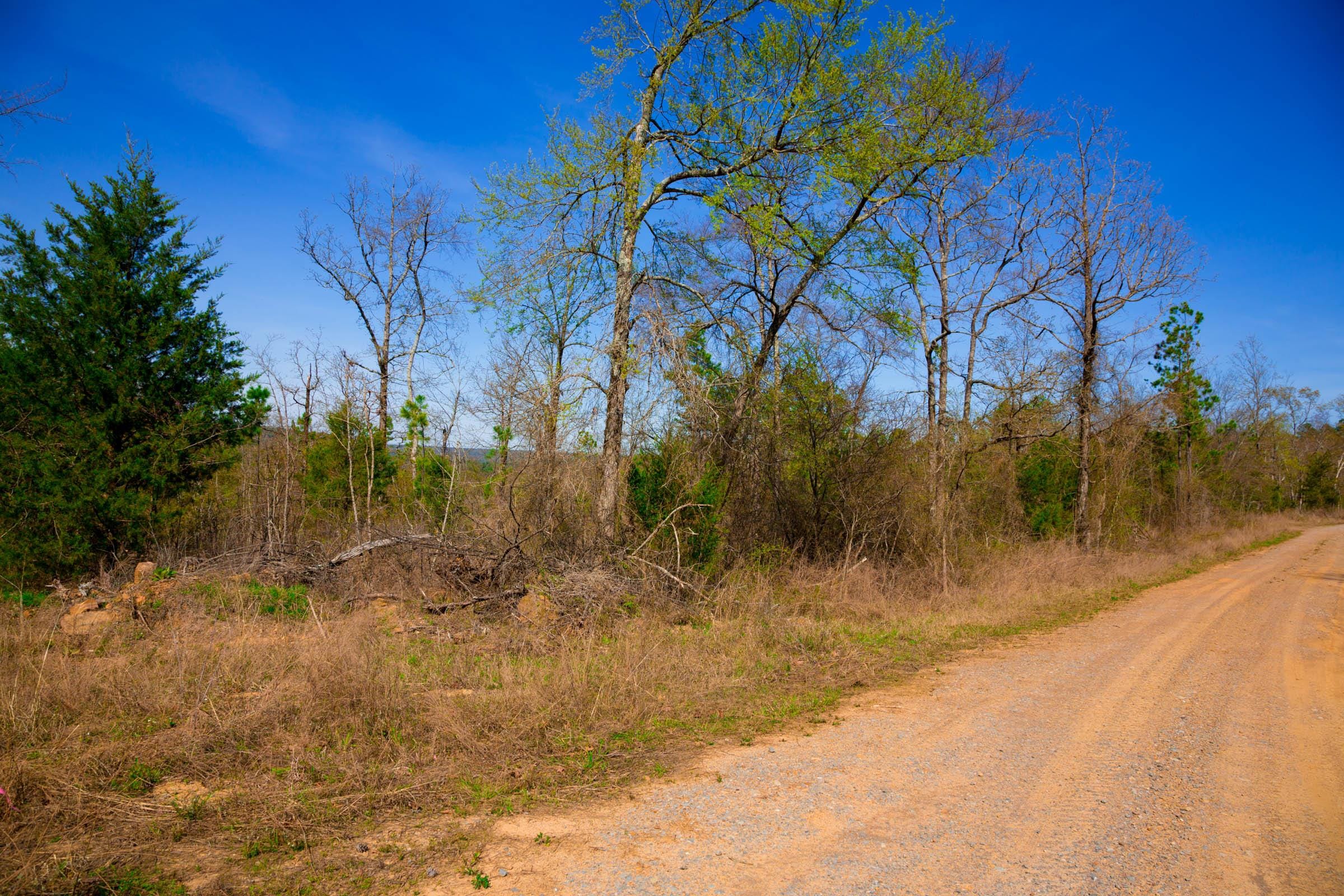 Stone Creek Phase II Tract 219 photo 9