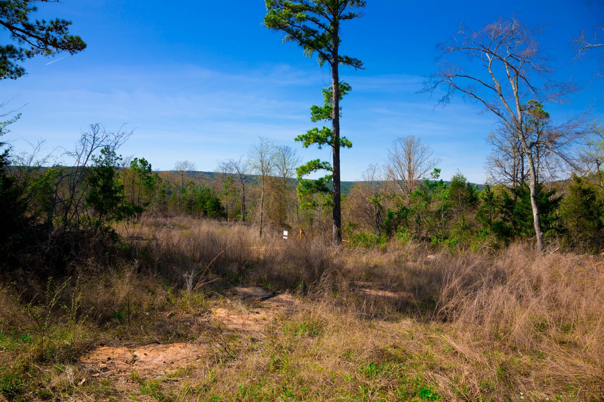 Stone Creek Phase II Tract 219 photo 10