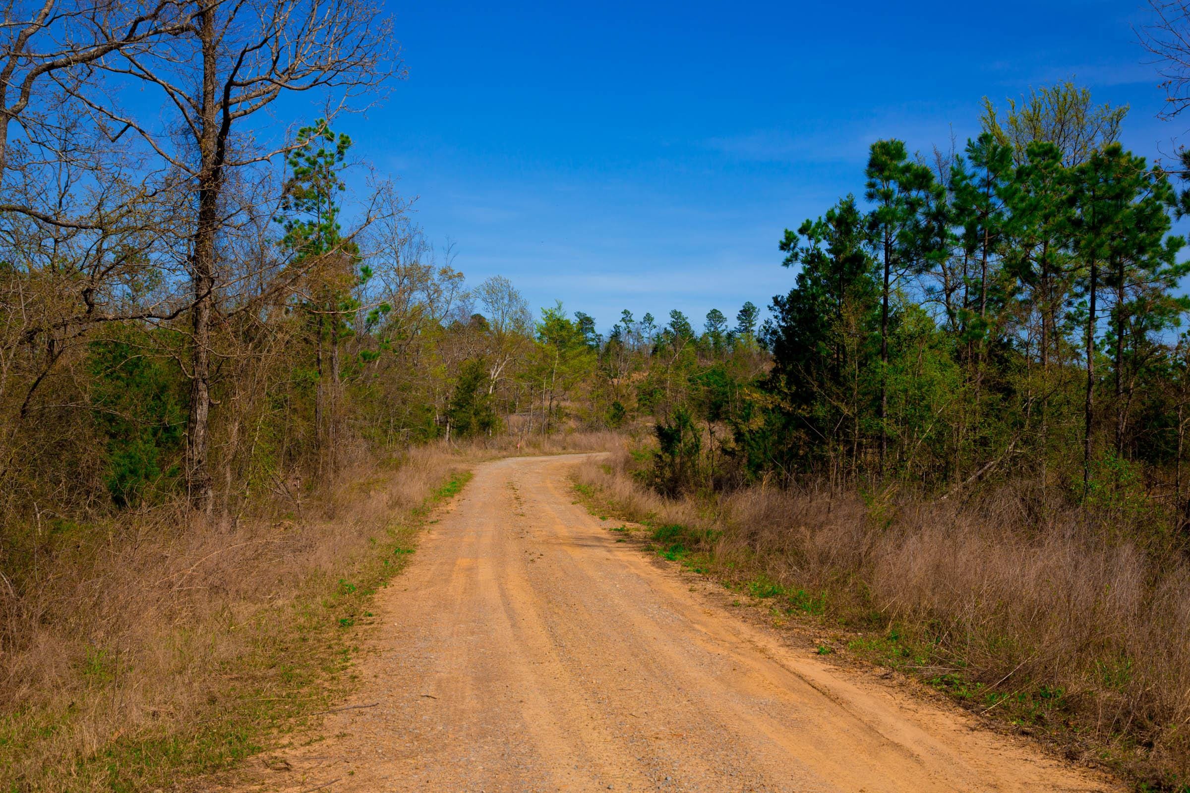 Stone Creek Phase II Tract 219 photo 11