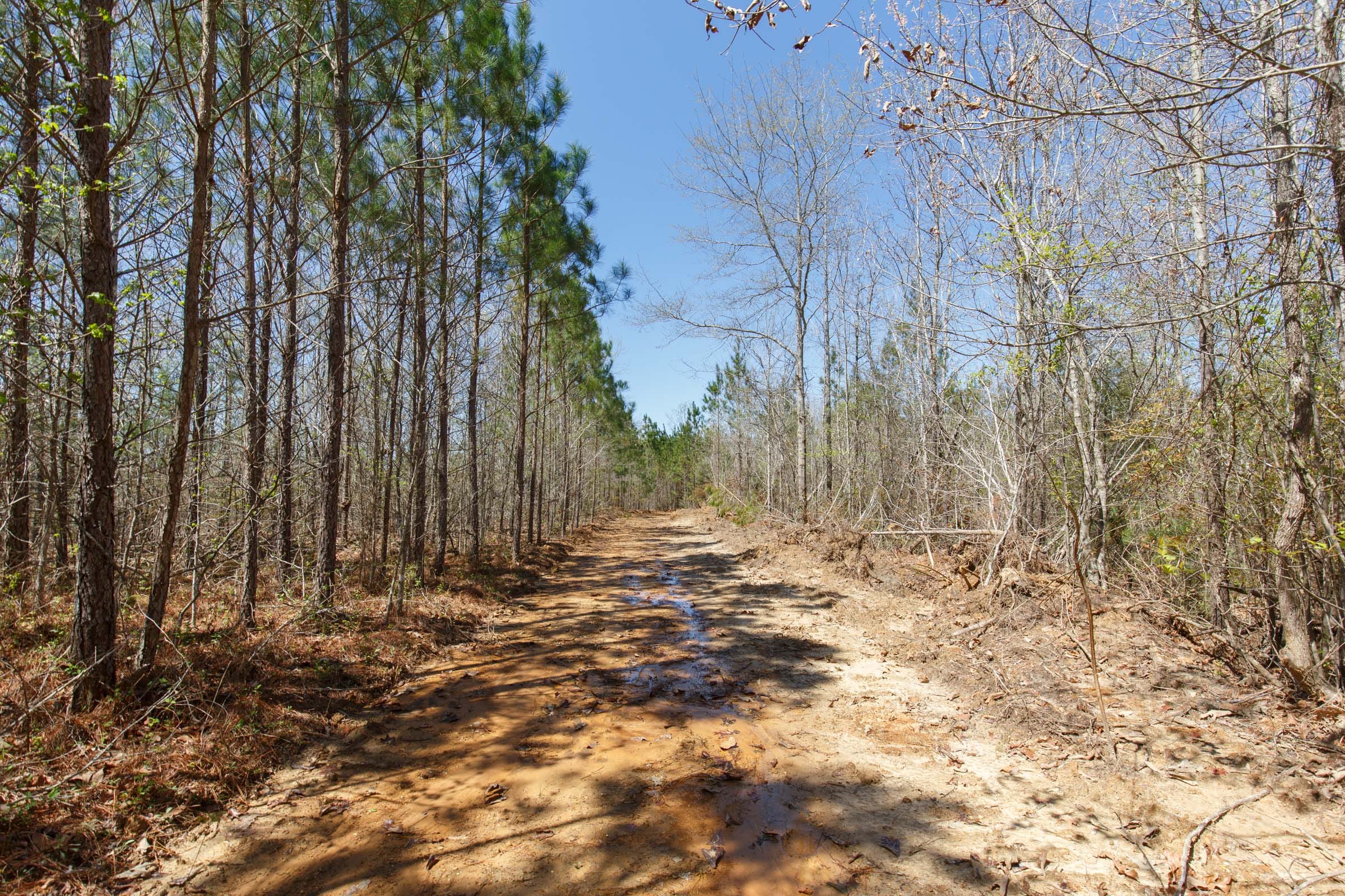 Southern Hills Tract 11 photo 8