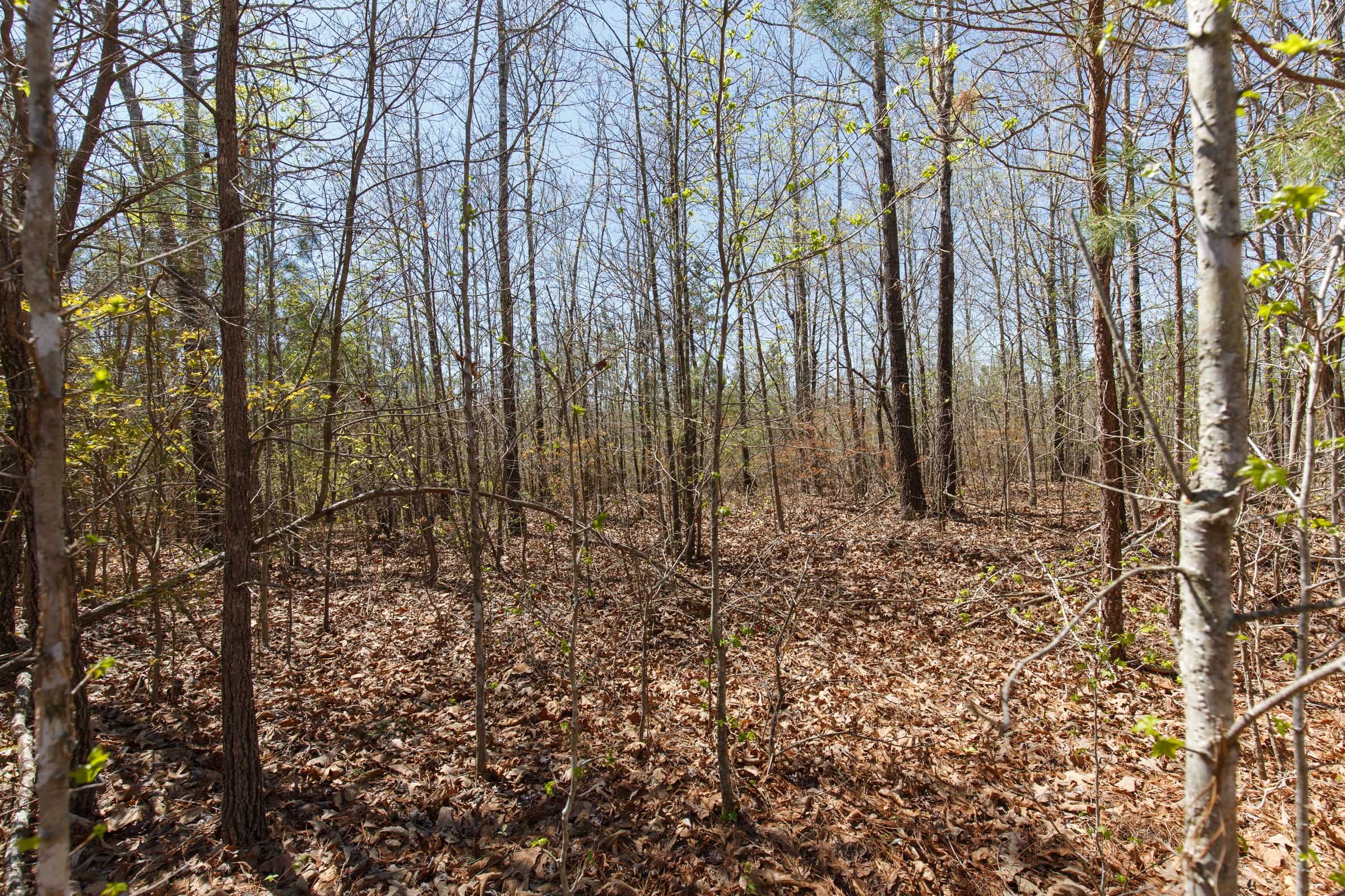 Southern Hills Tract 11 photo 14
