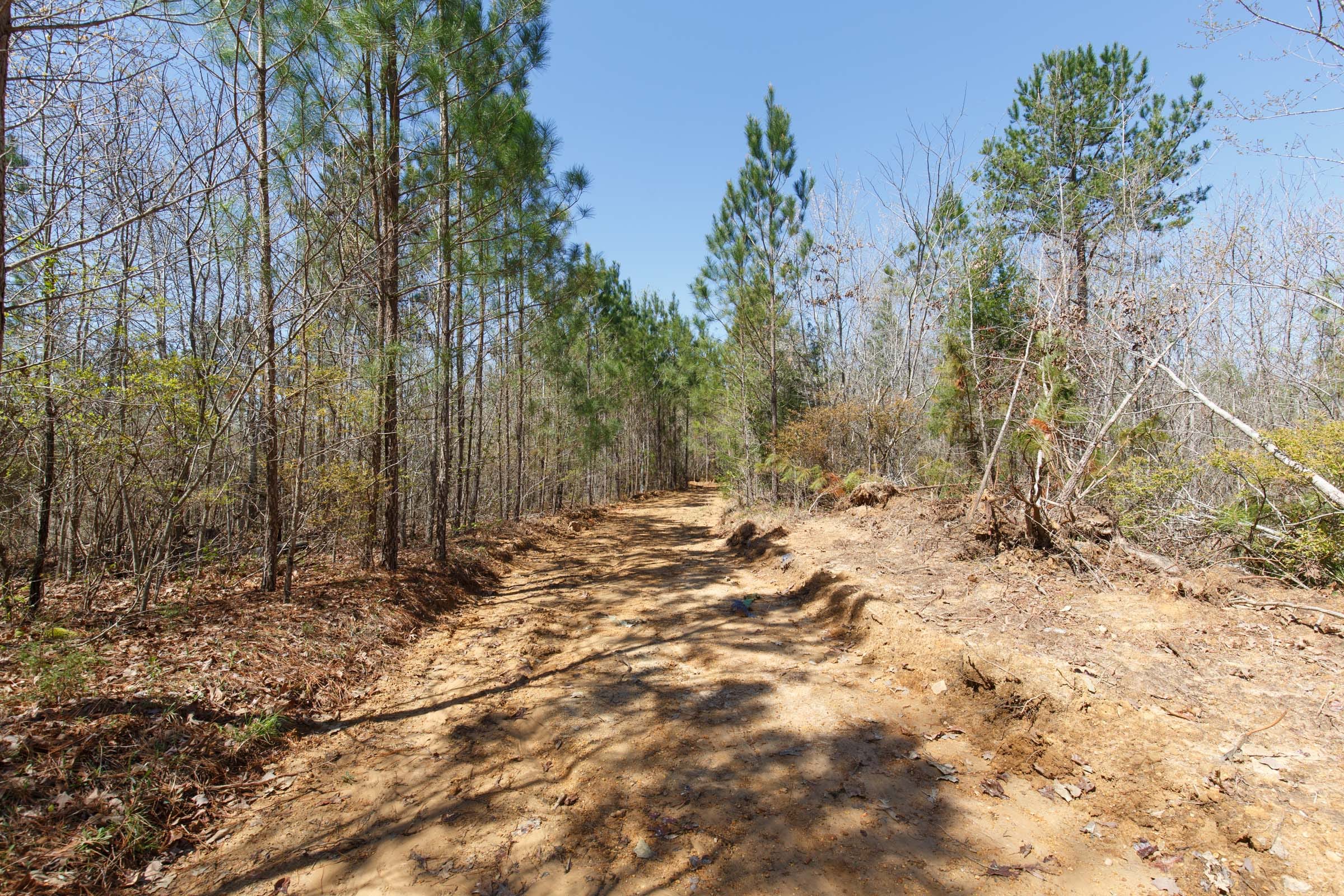Southern Hills Tract 11 photo 16