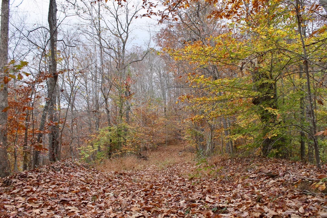 Autumn Ridge Tract 24 photo 1