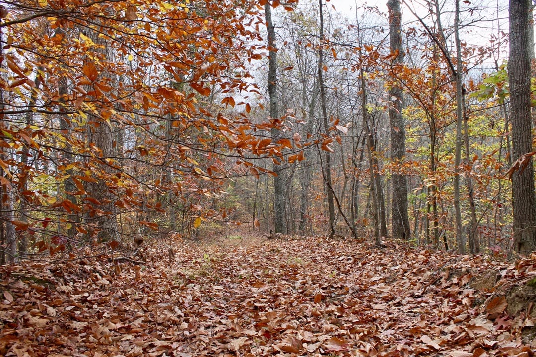 Autumn Ridge Tract 24 photo 7