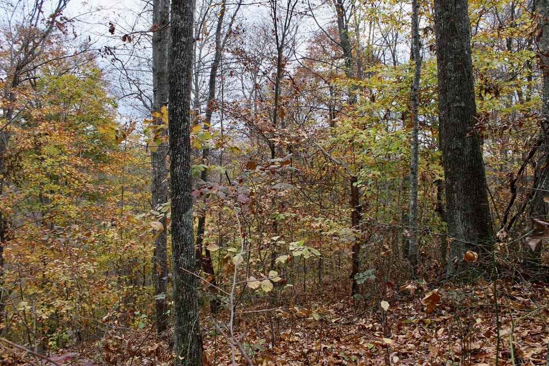 Autumn Ridge Tract 24 photo 9