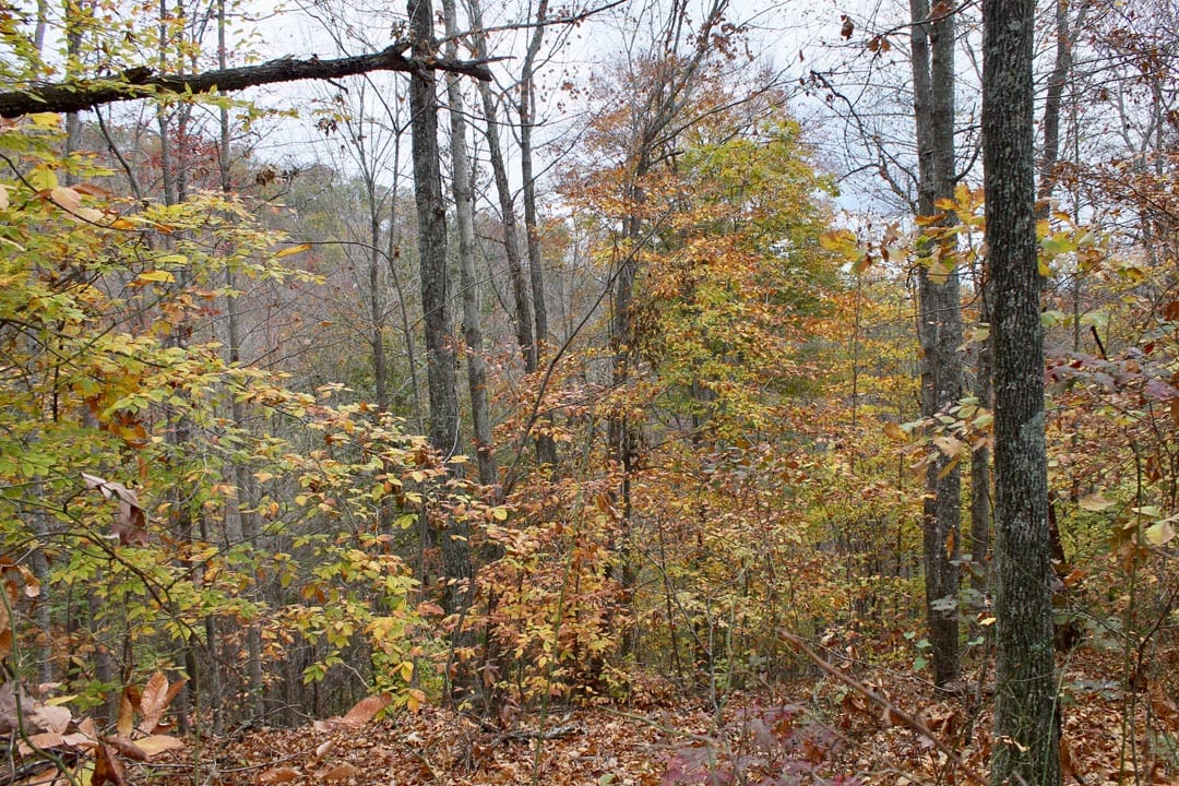 Autumn Ridge Tract 24 photo 10