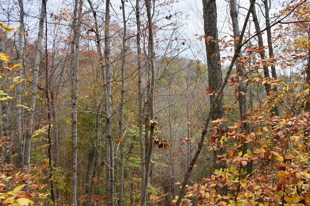 Autumn Ridge Tract 24 photo 16
