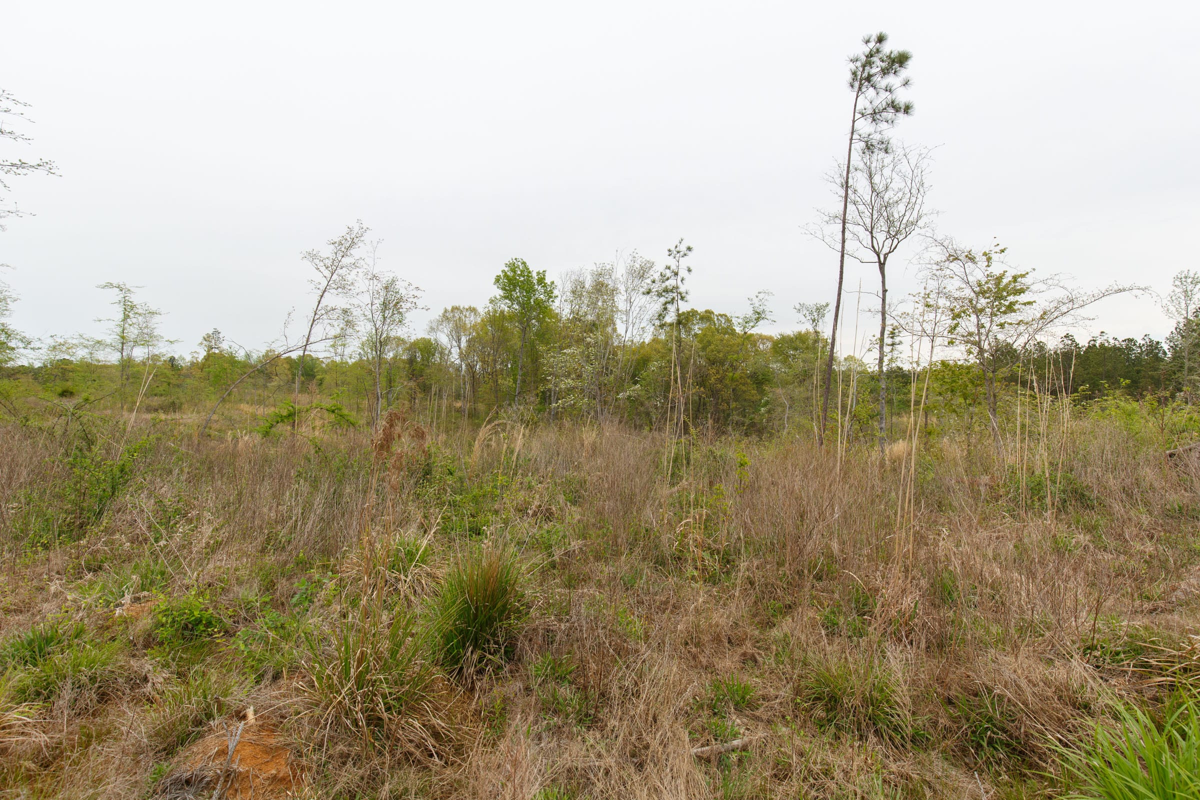 Twin Rivers Tract 30 photo 3