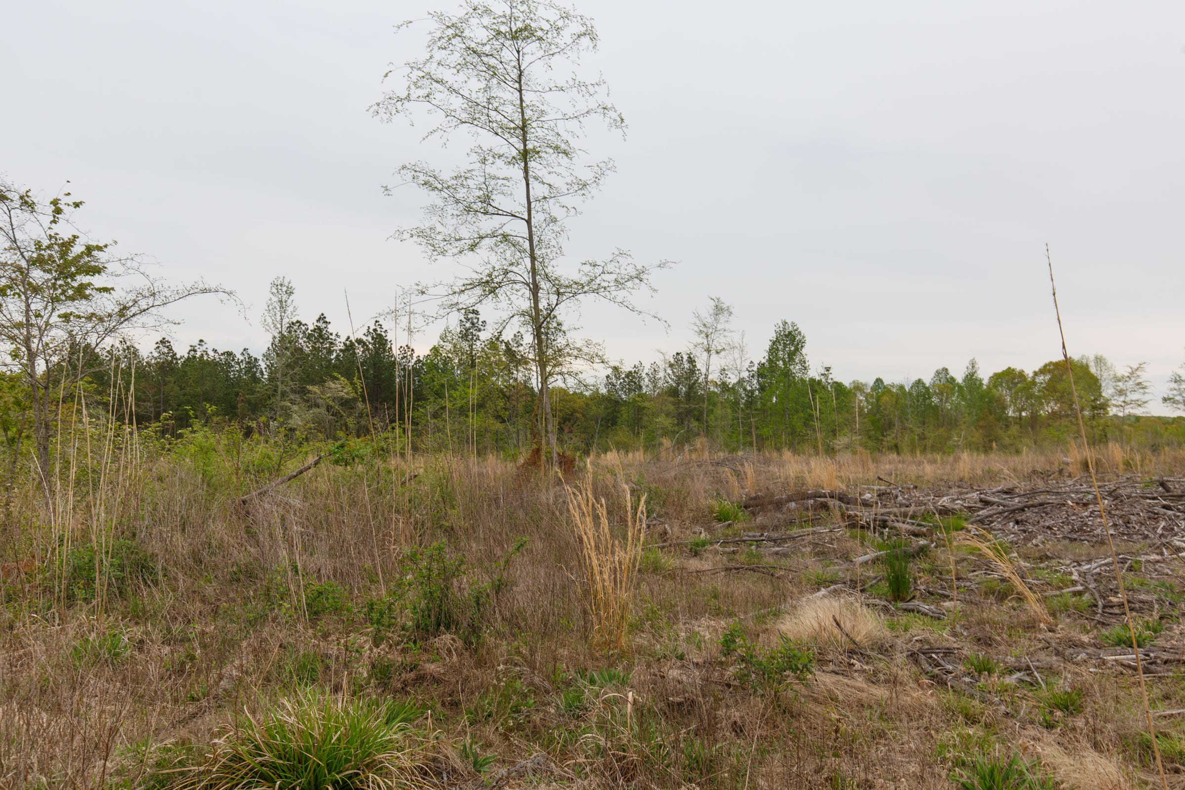 Twin Rivers Tract 30 photo 4
