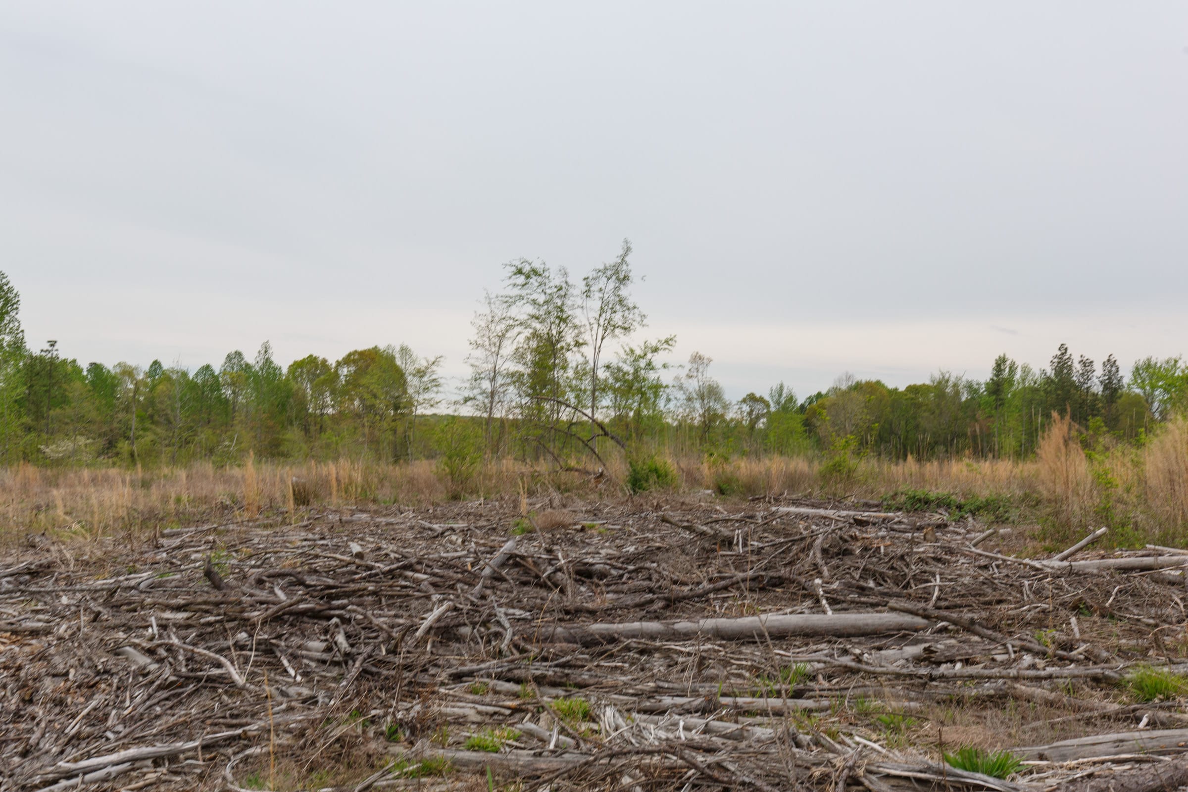 Twin Rivers Tract 30 photo 5