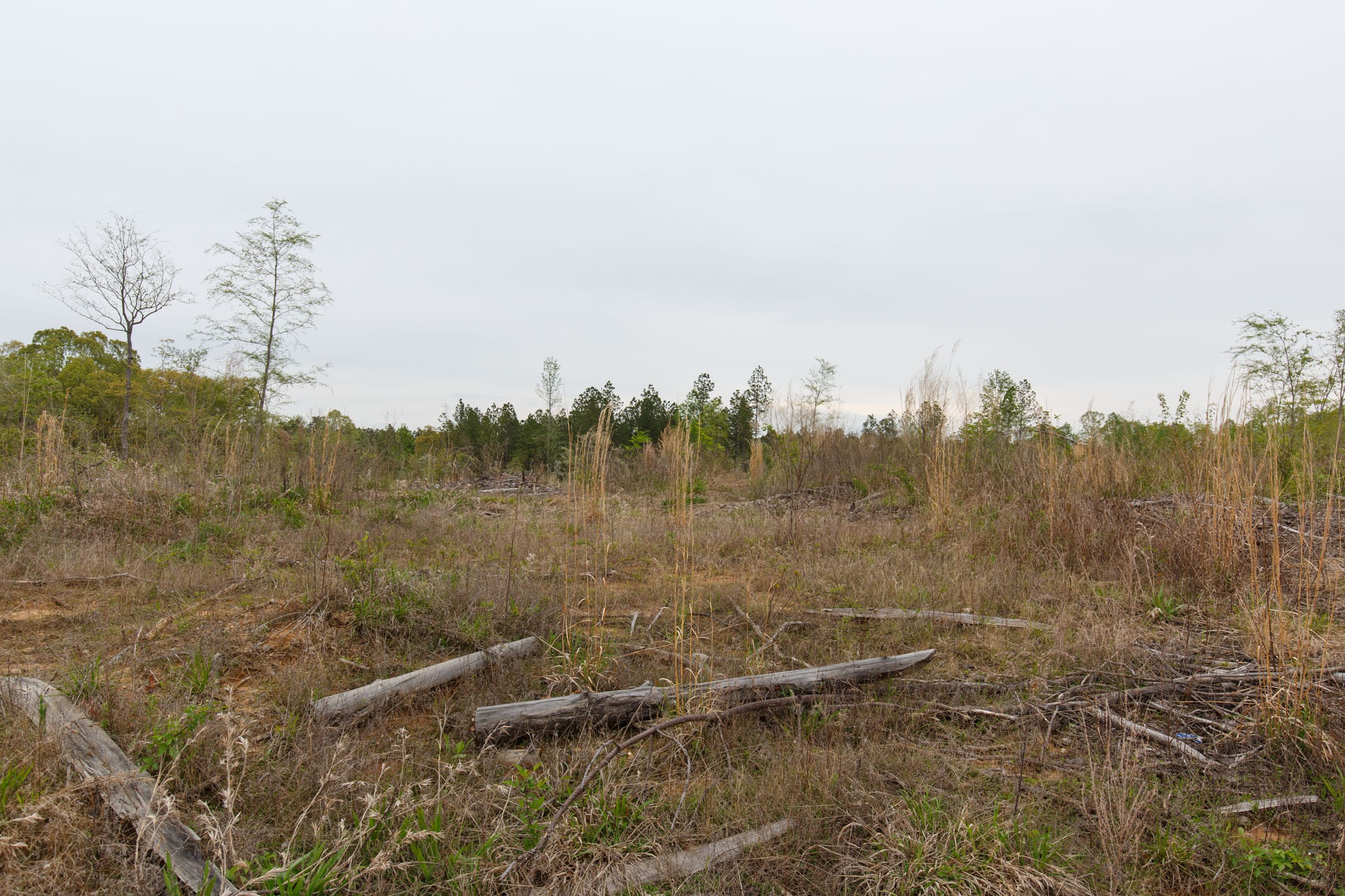 Twin Rivers Tract 30 photo 6