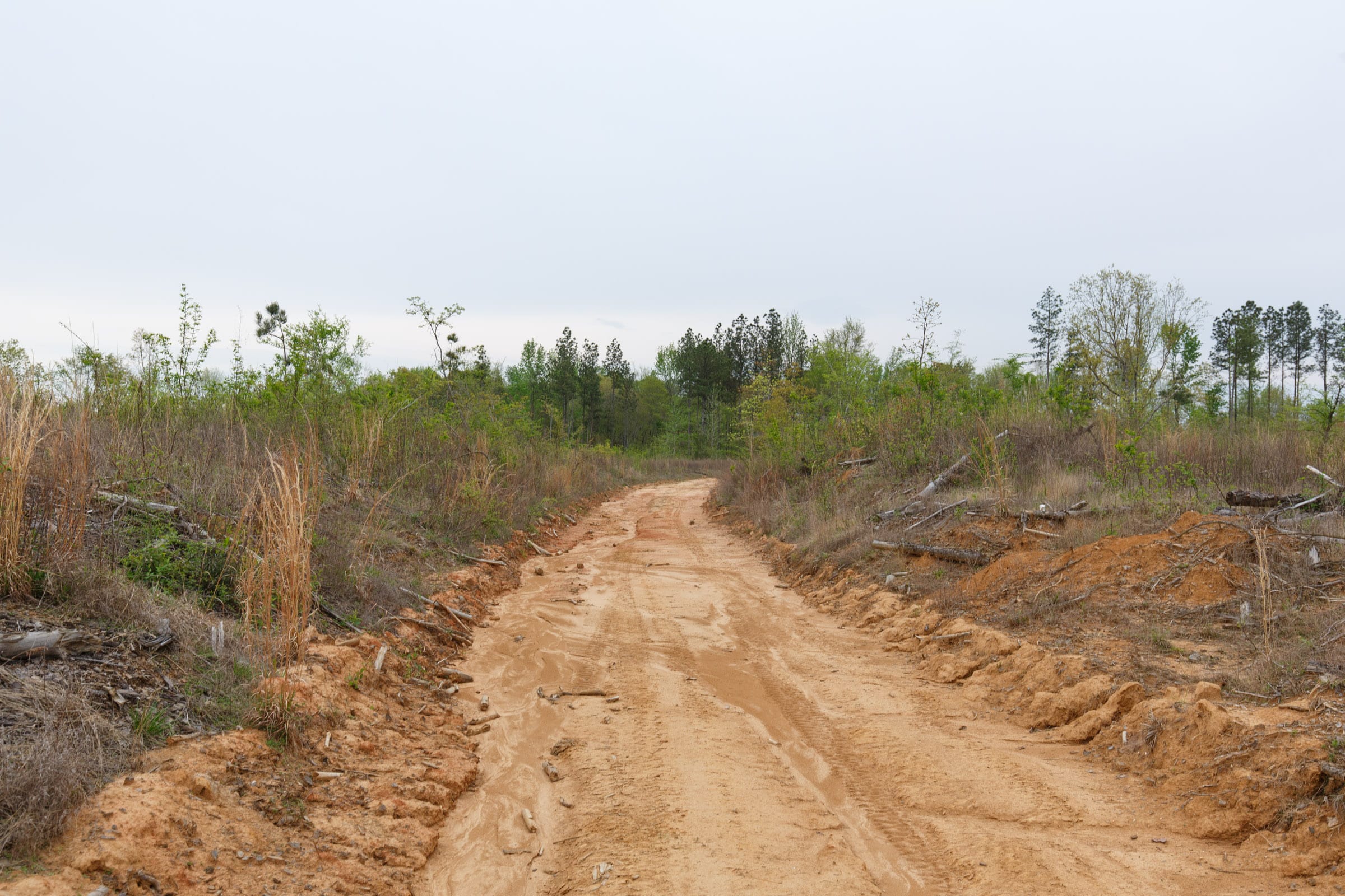 Twin Rivers Tract 30 photo 2