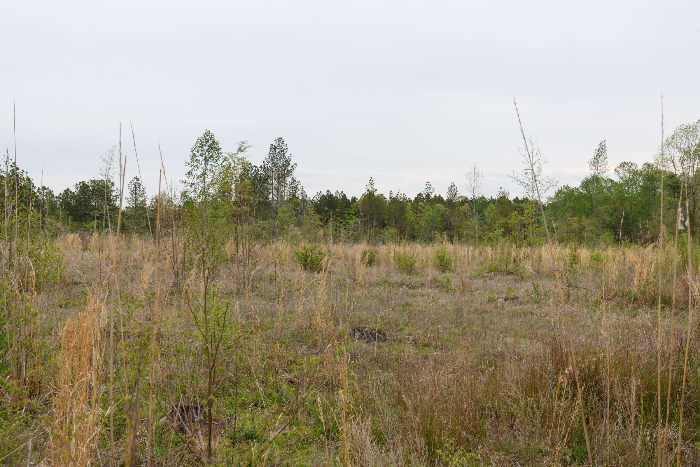Twin Rivers Tract 30 photo 7