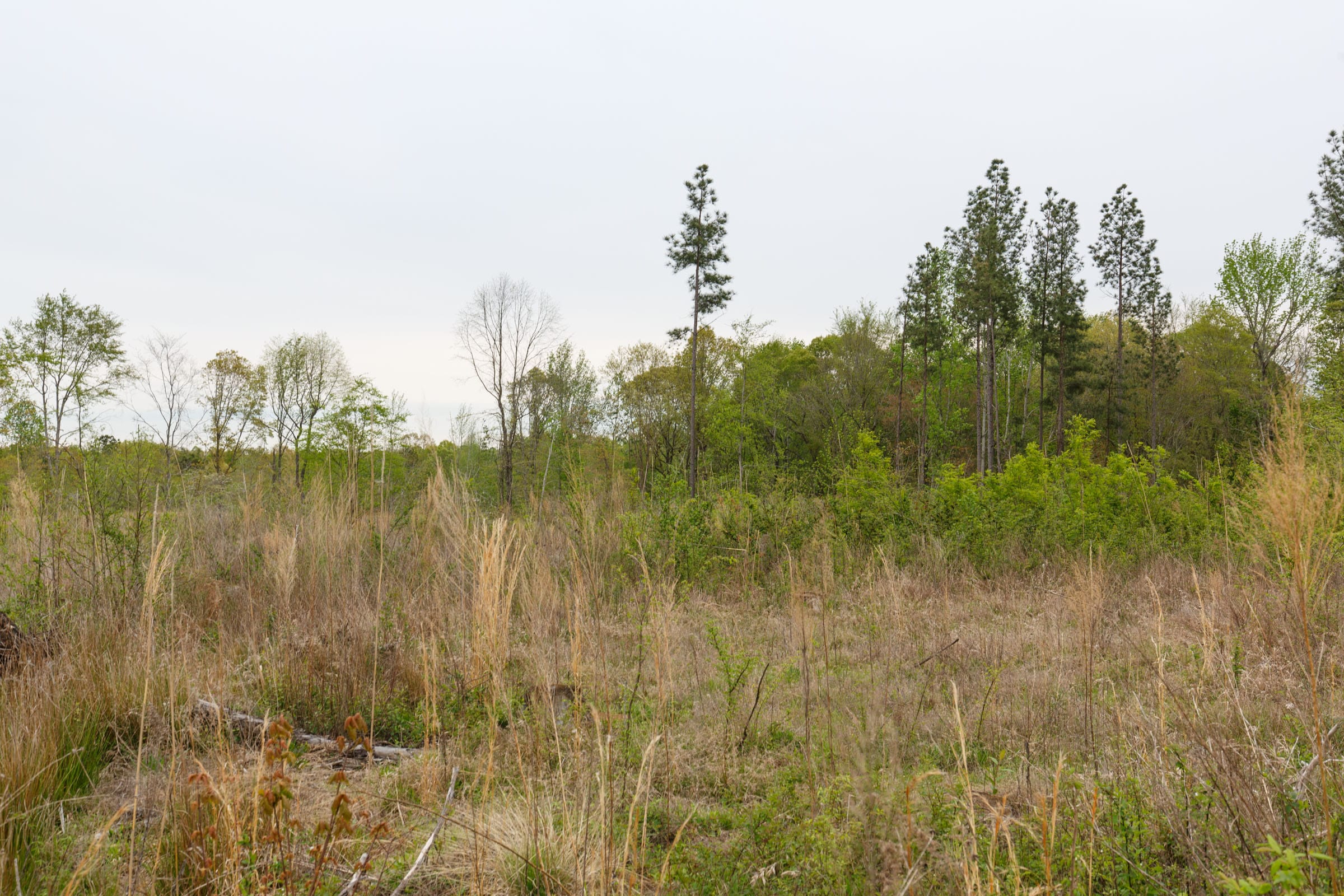 Twin Rivers Tract 30 photo 1