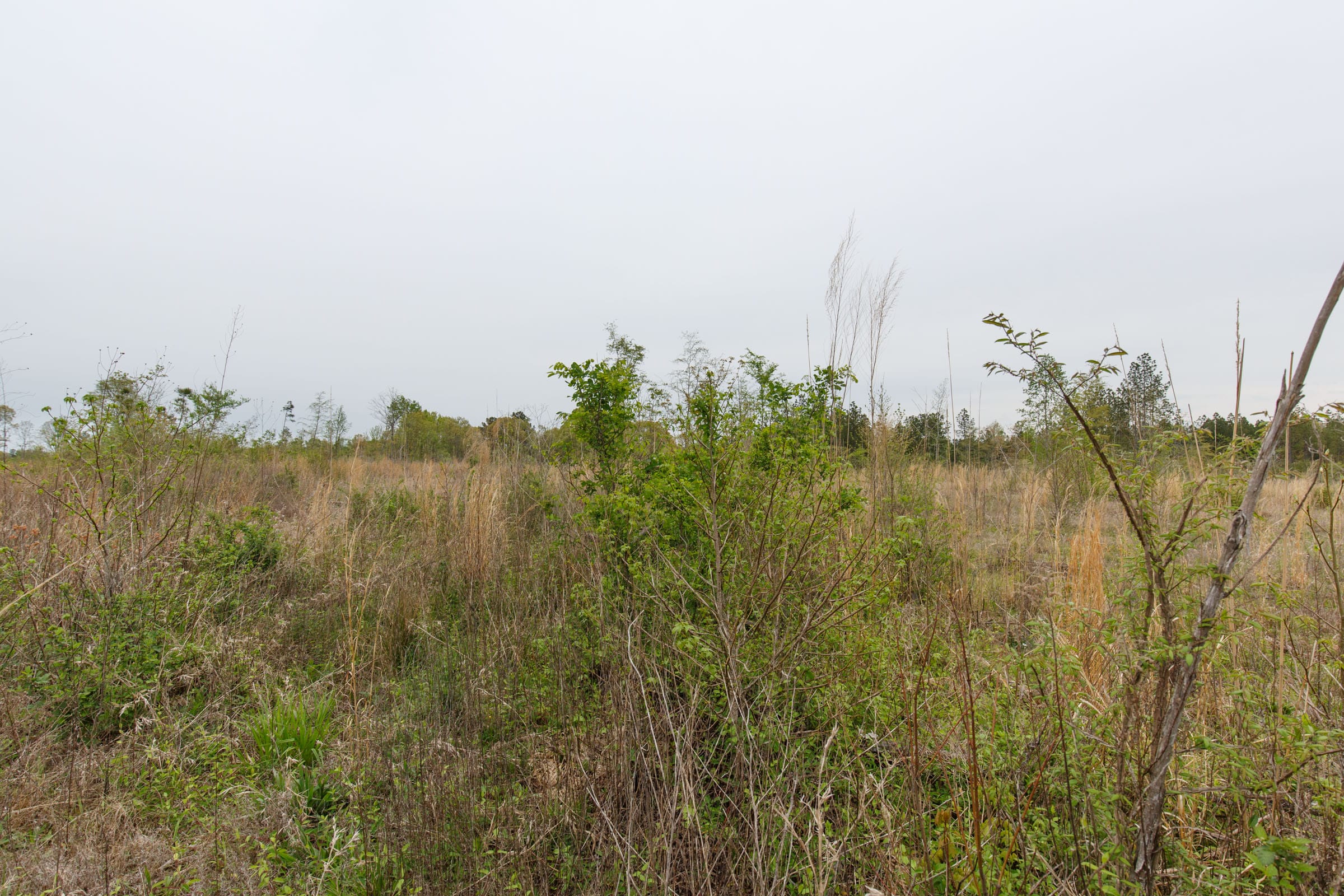 Twin Rivers Tract 30 photo 8