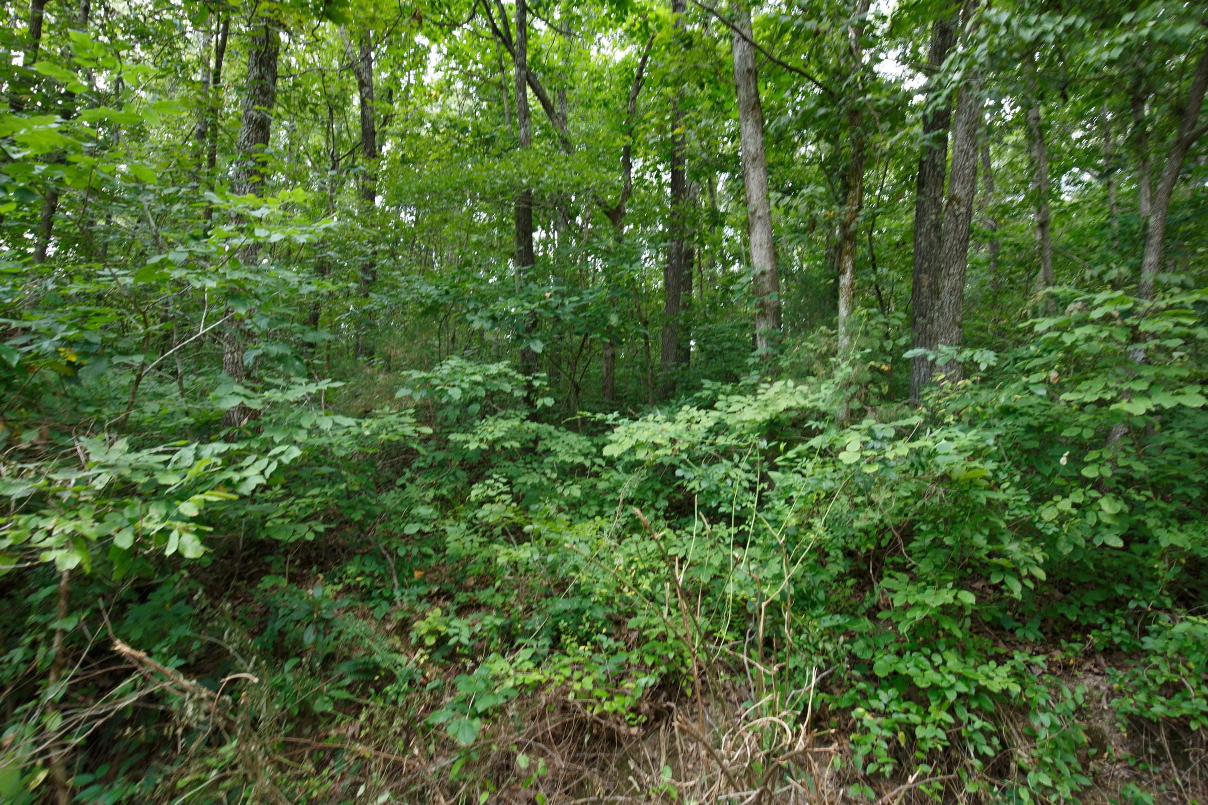 Spring Lake Plat 2 Tract 57 photo 2
