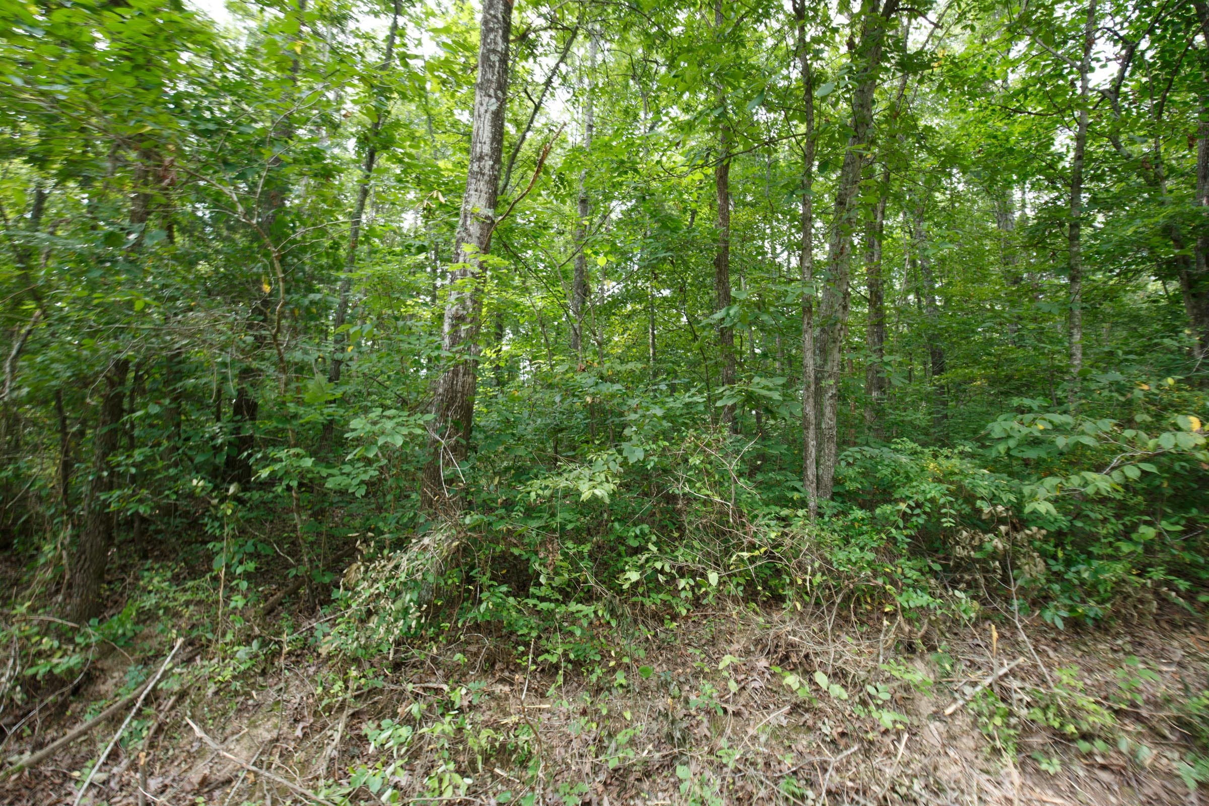 Spring Lake Plat 2 Tract 57 photo 3
