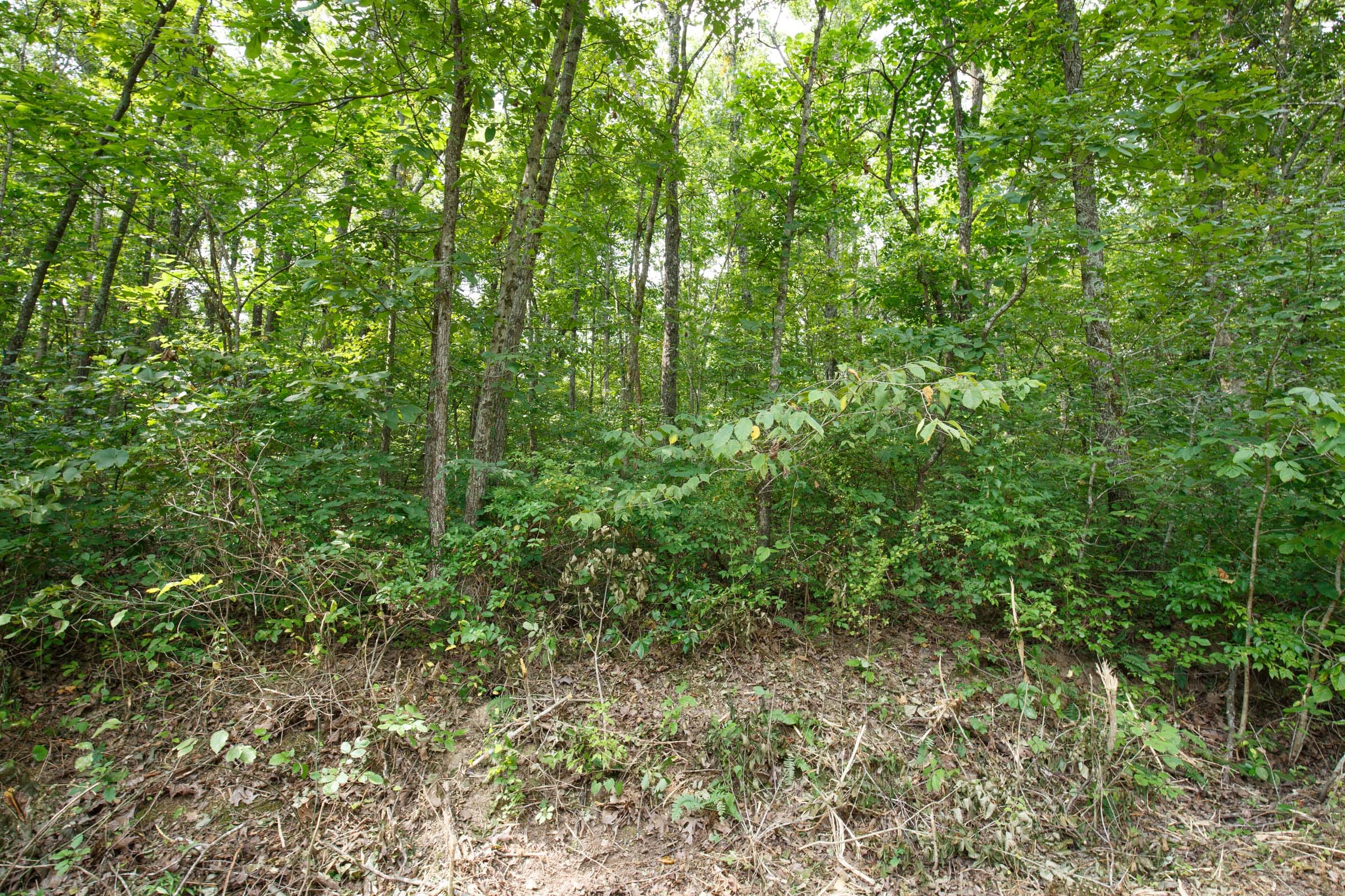 Spring Lake Plat 2 Tract 57 photo 4