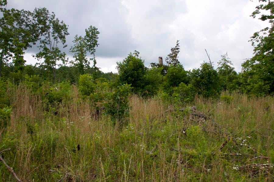 Thunder Mountain Ranch Tract 40 photo 1