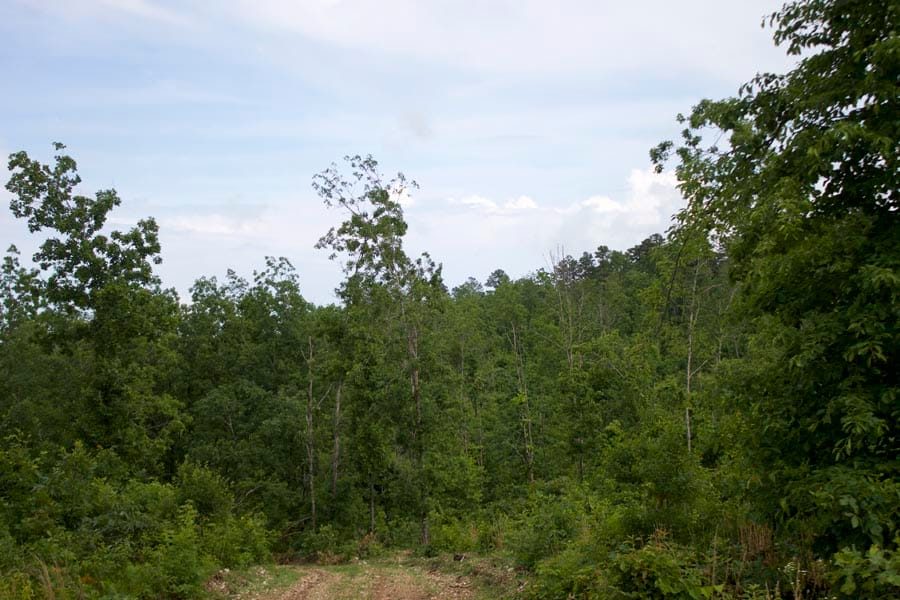 Thunder Mountain Ranch Tract 40 photo 3