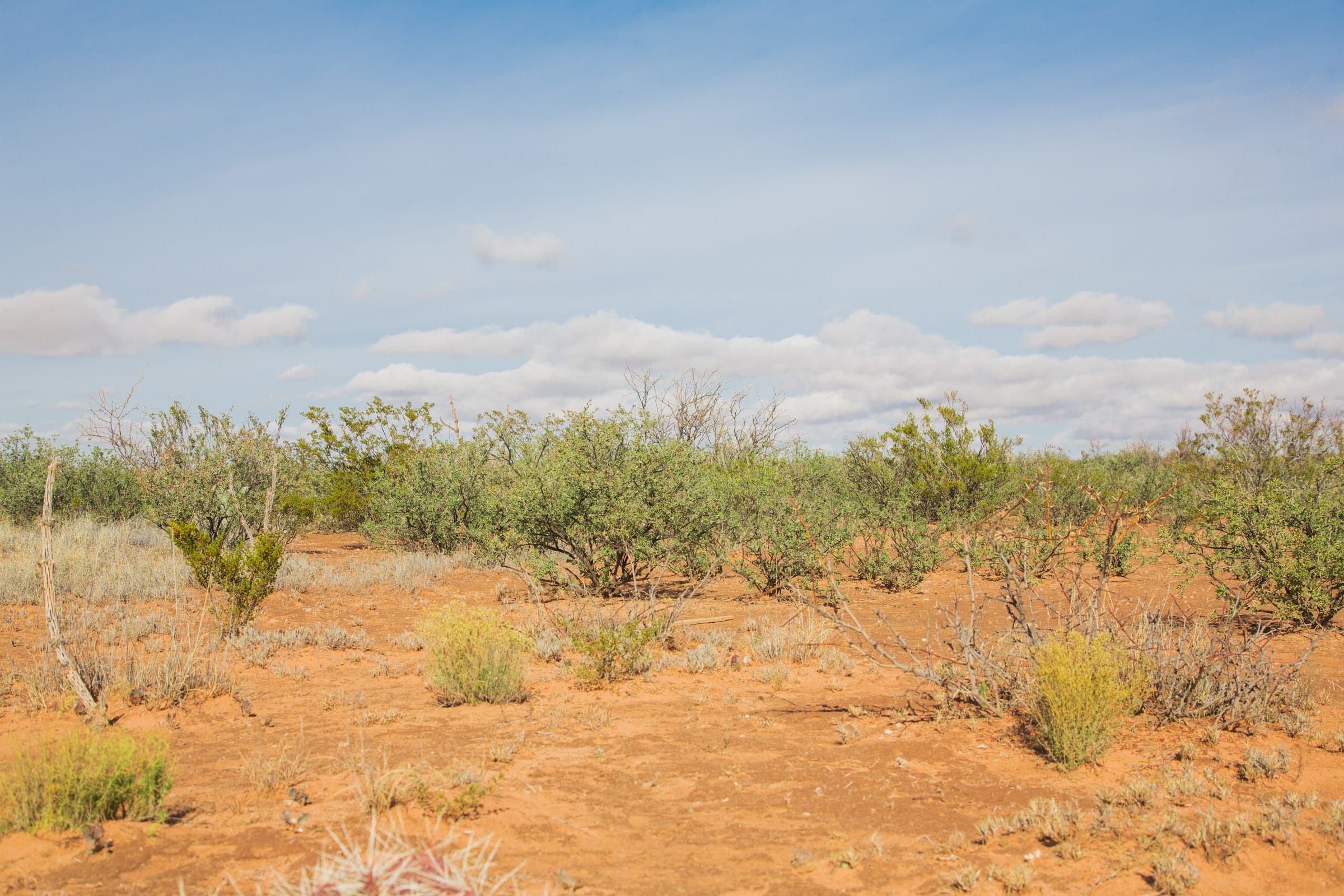 Sunset Ranches Tract 19 photo 4