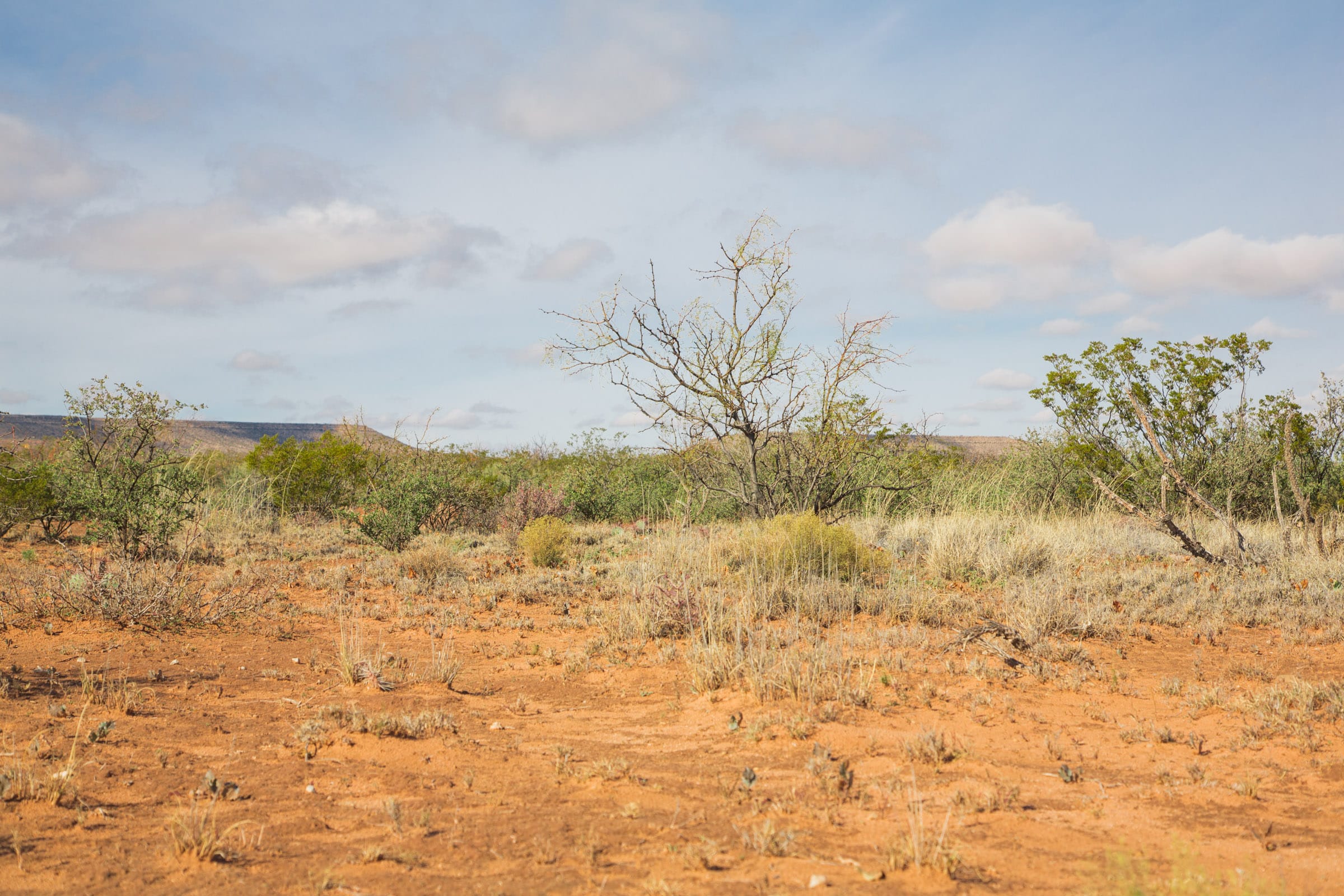 Sunset Ranches Tract 19 photo 6
