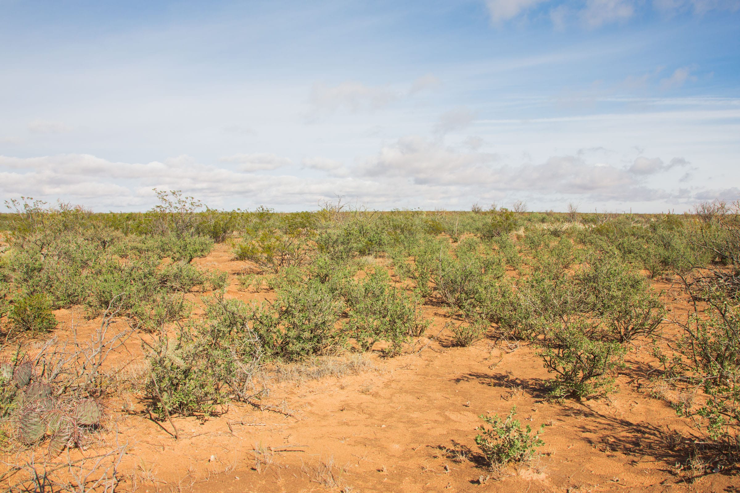 Sunset Ranches Tract 19 photo 7