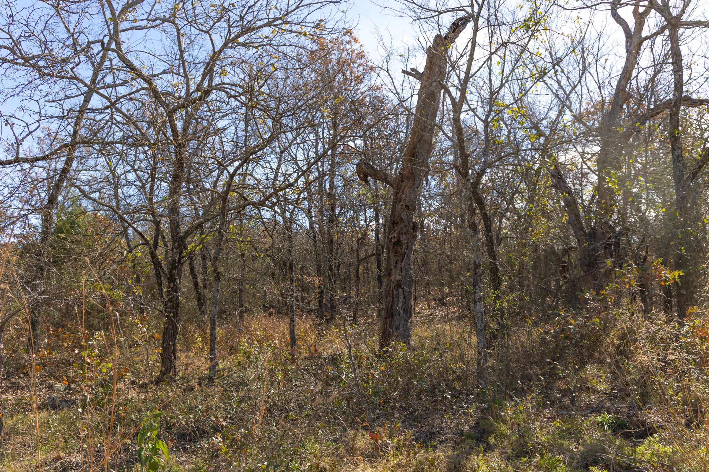 Harmony Hills Tract 48 photo 4