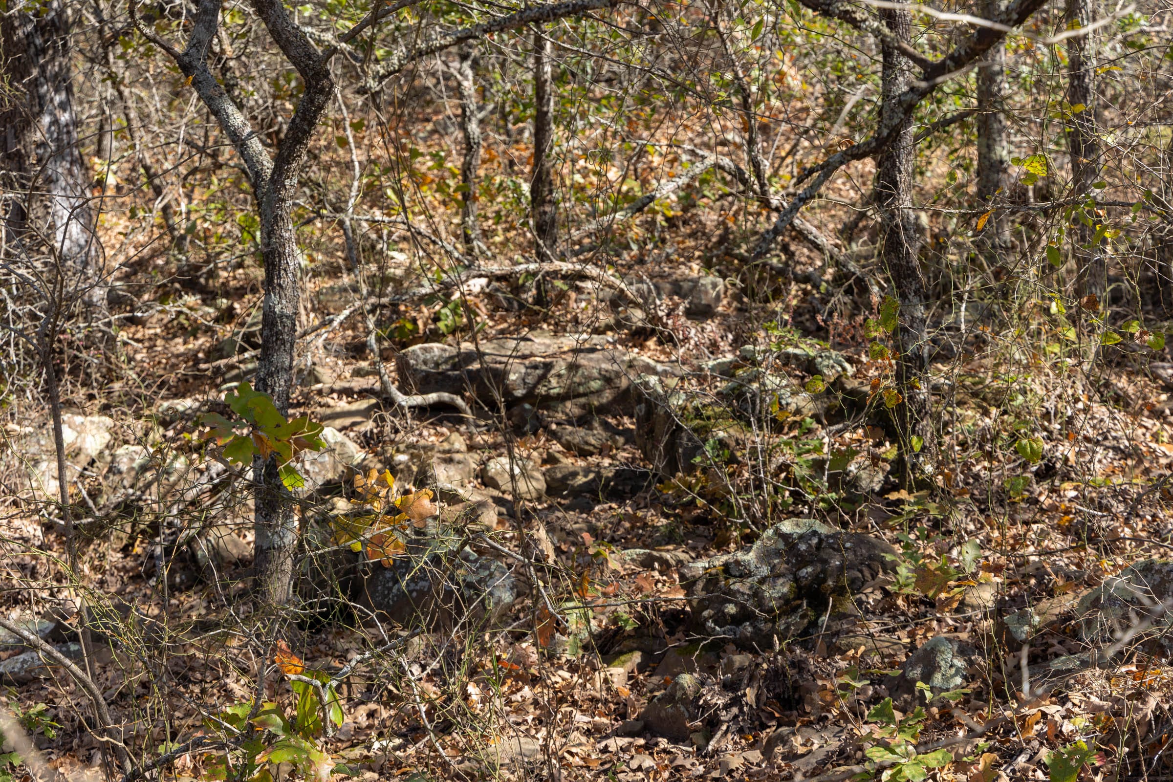 Harmony Hills Tract 48 photo 2