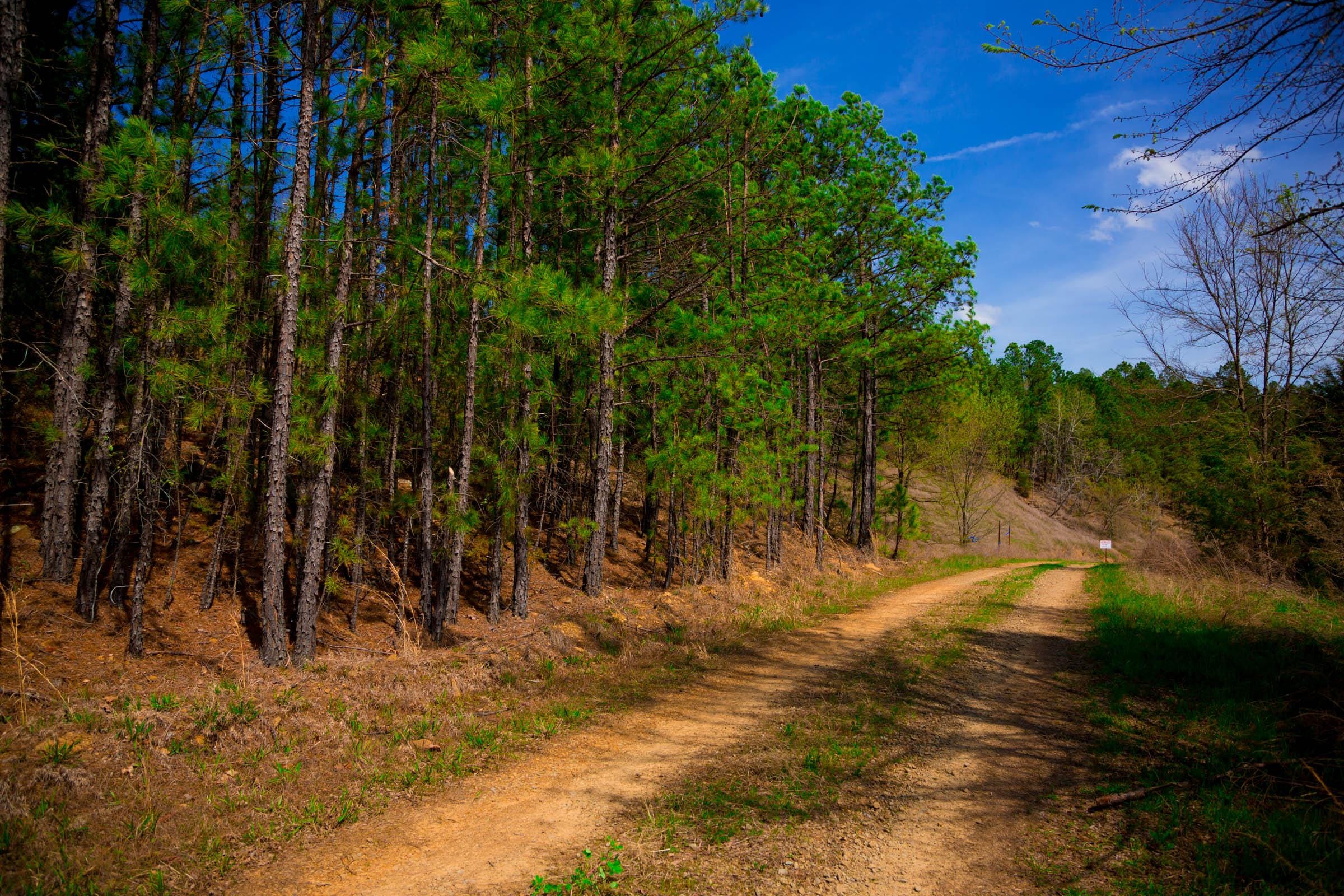 Stone Creek Phase II Tract 229 photo 2