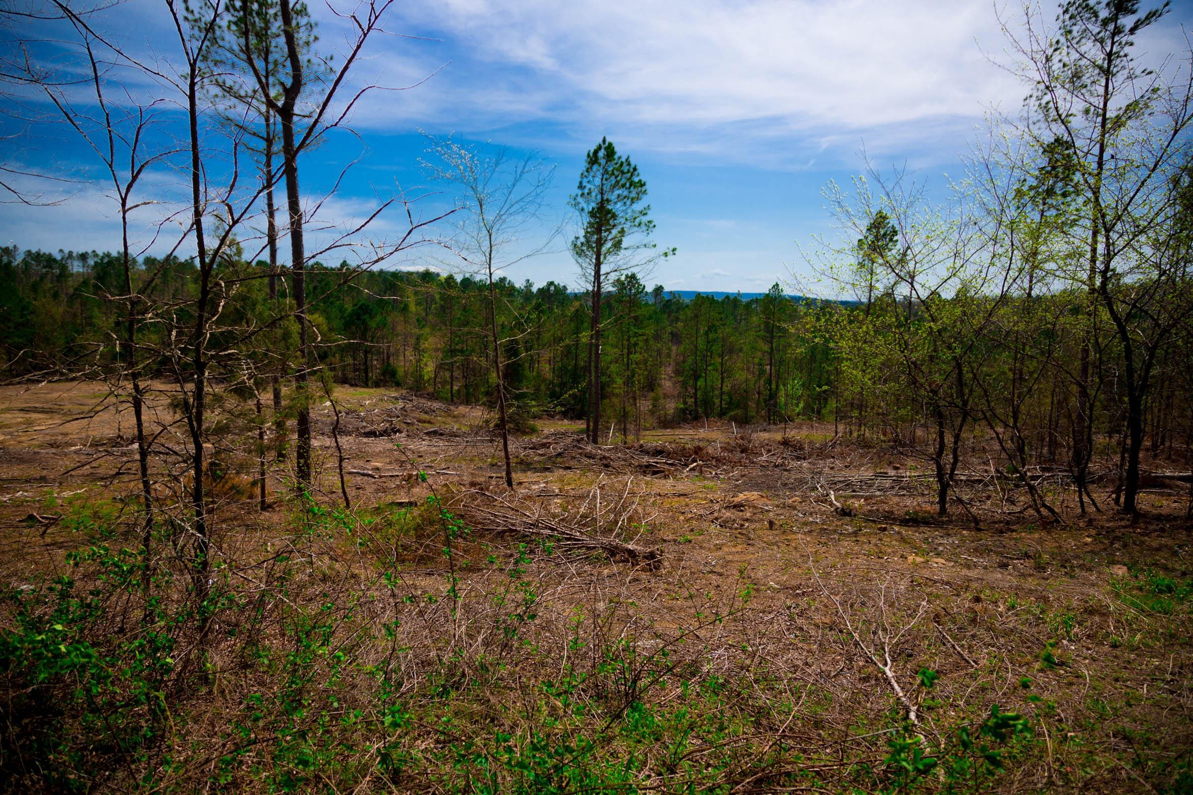 Stone Creek Phase II Tract 229 photo 3
