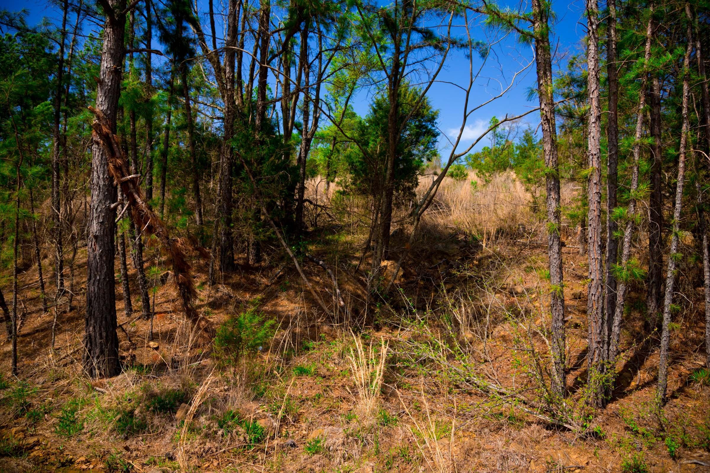 Stone Creek Phase II Tract 229 photo 4