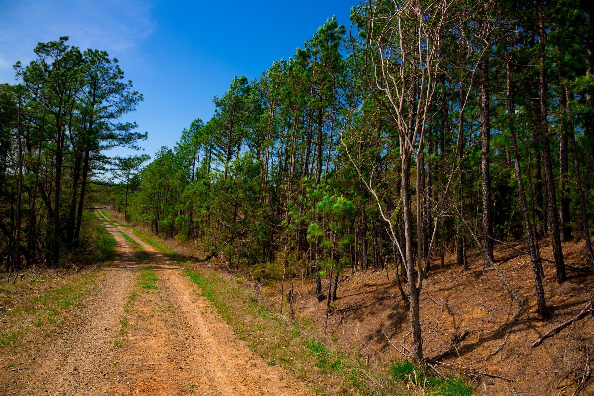 Stone Creek Phase II Tract 229 photo 6