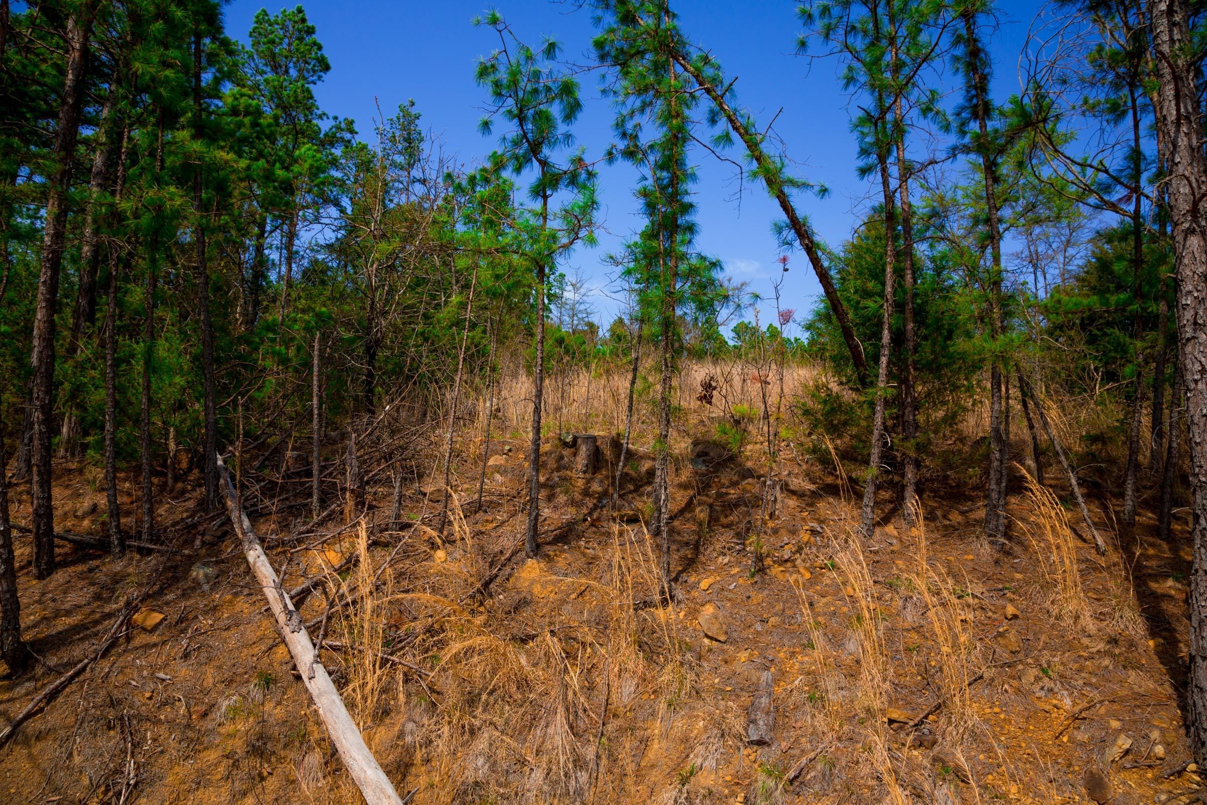 Stone Creek Phase II Tract 229 photo 7