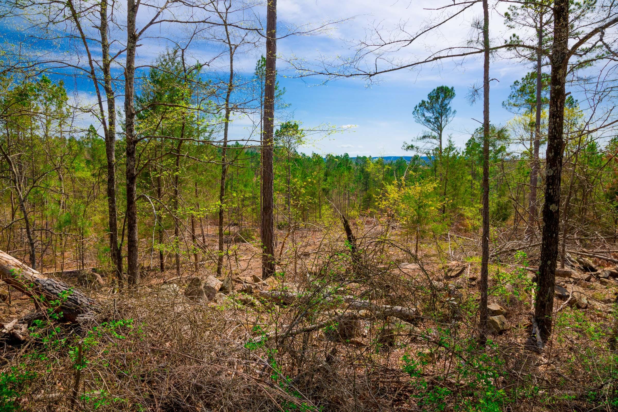 Stone Creek Phase II Tract 229 photo 9