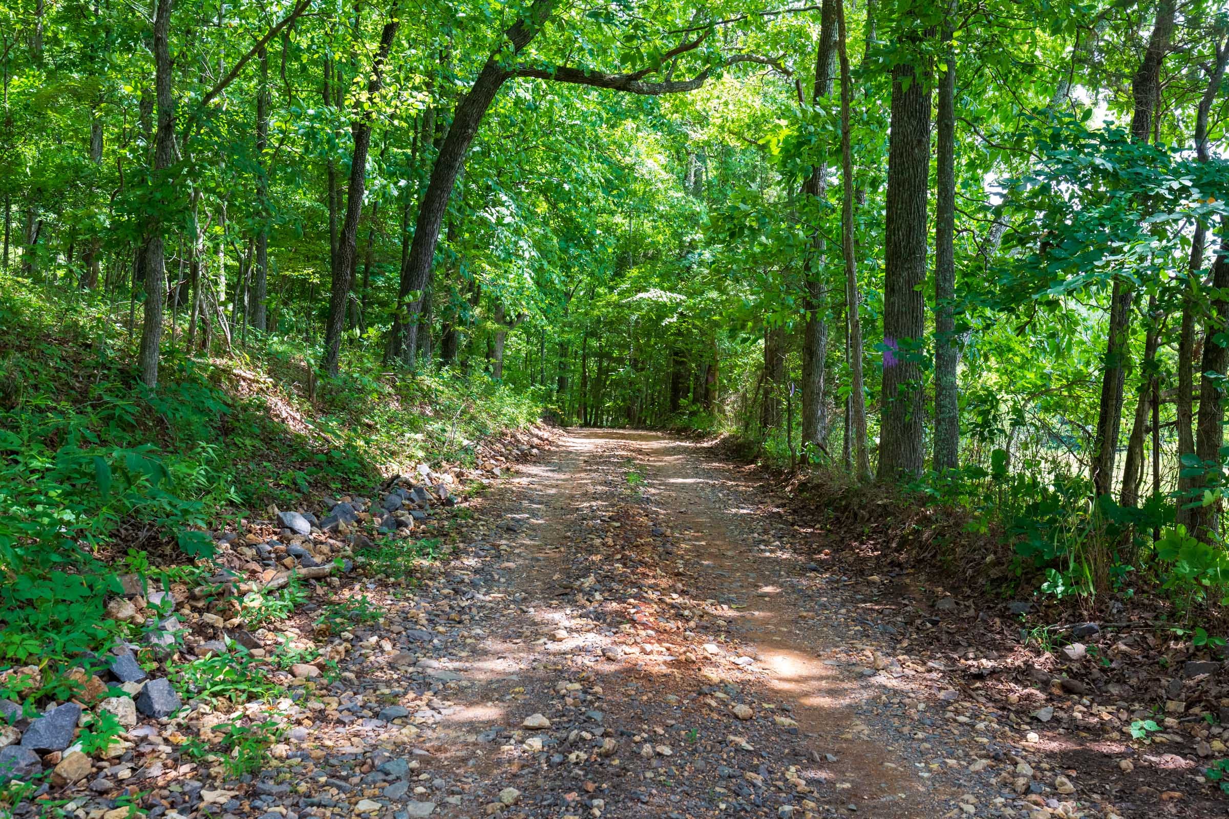 Cypress Ridge Tract 1 photo 1