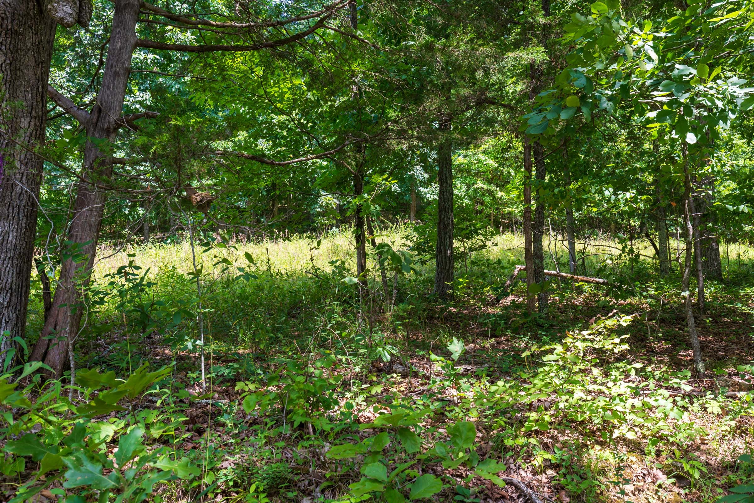 Cypress Ridge Tract 1 photo 2