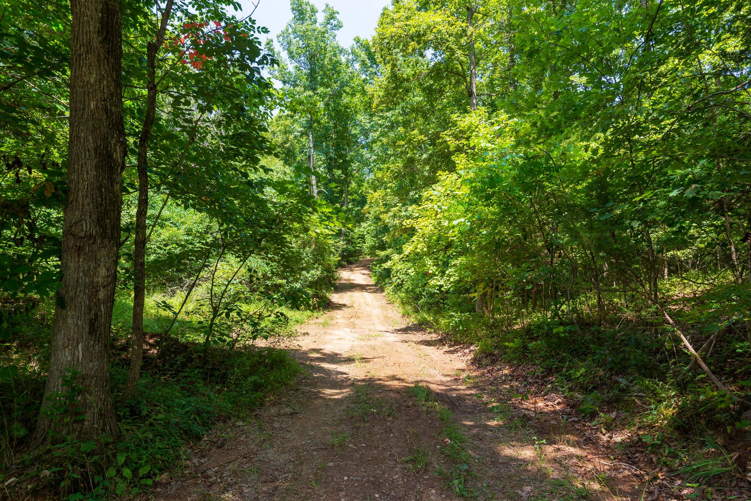 Cypress Ridge Tract 1 photo 8
