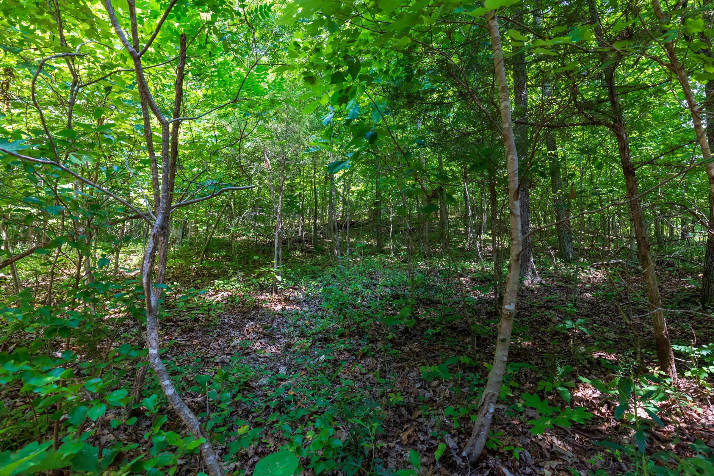 Cypress Ridge Tract 1 photo 9