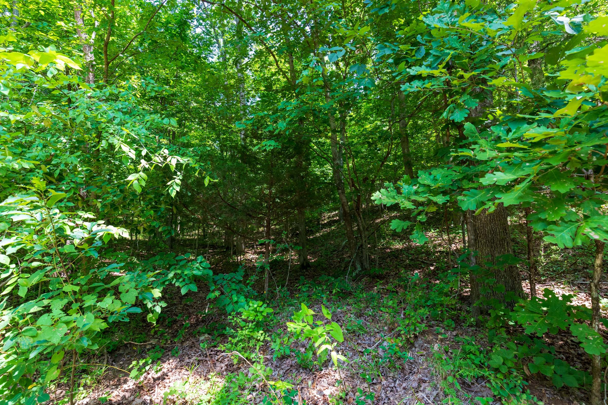 Cypress Ridge Tract 1 photo 10
