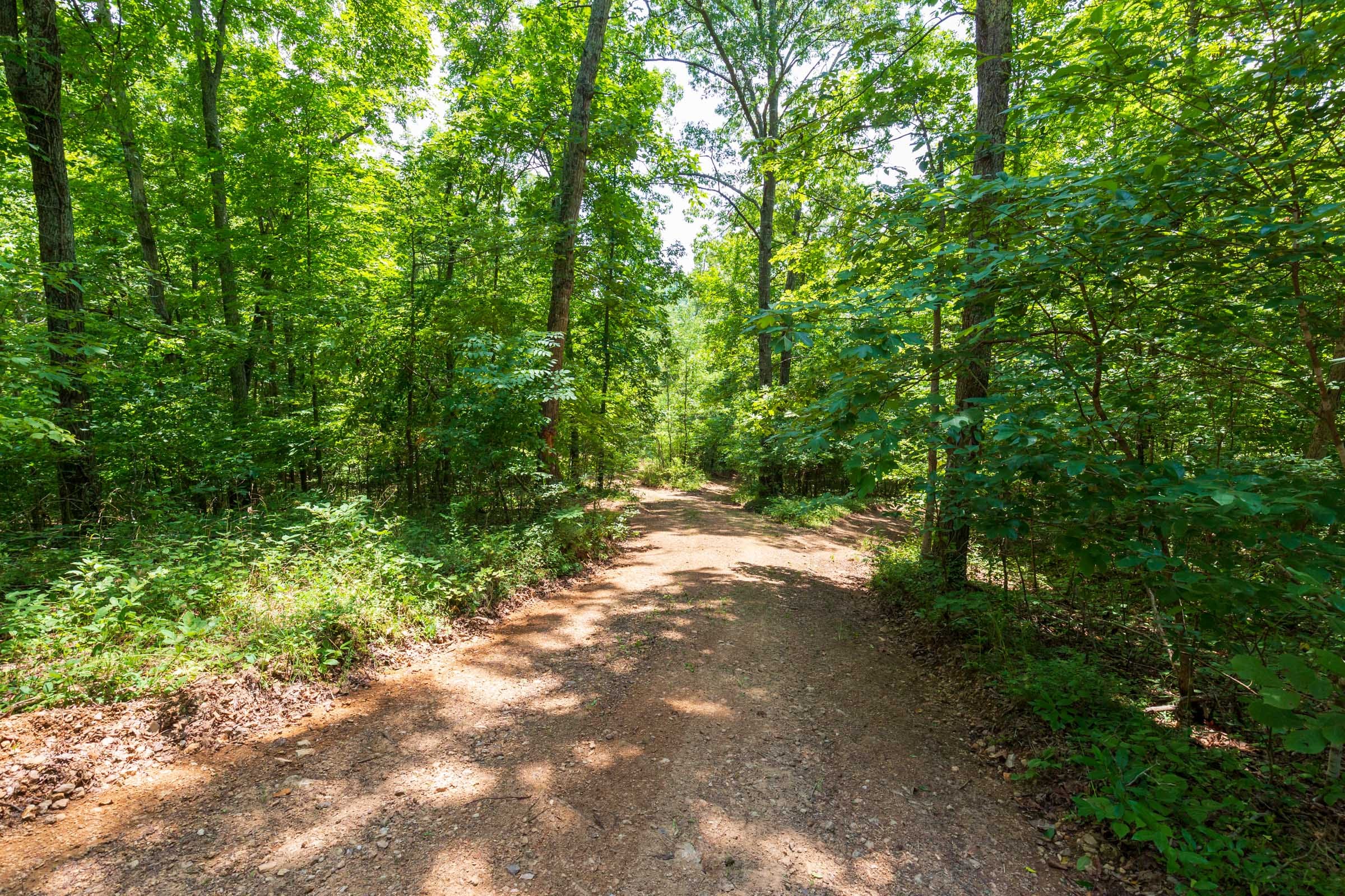Cypress Ridge Tract 1 photo 14