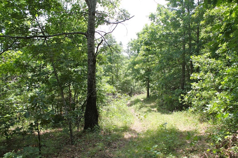 Green Mountain Ranch Tract 40 photo 2