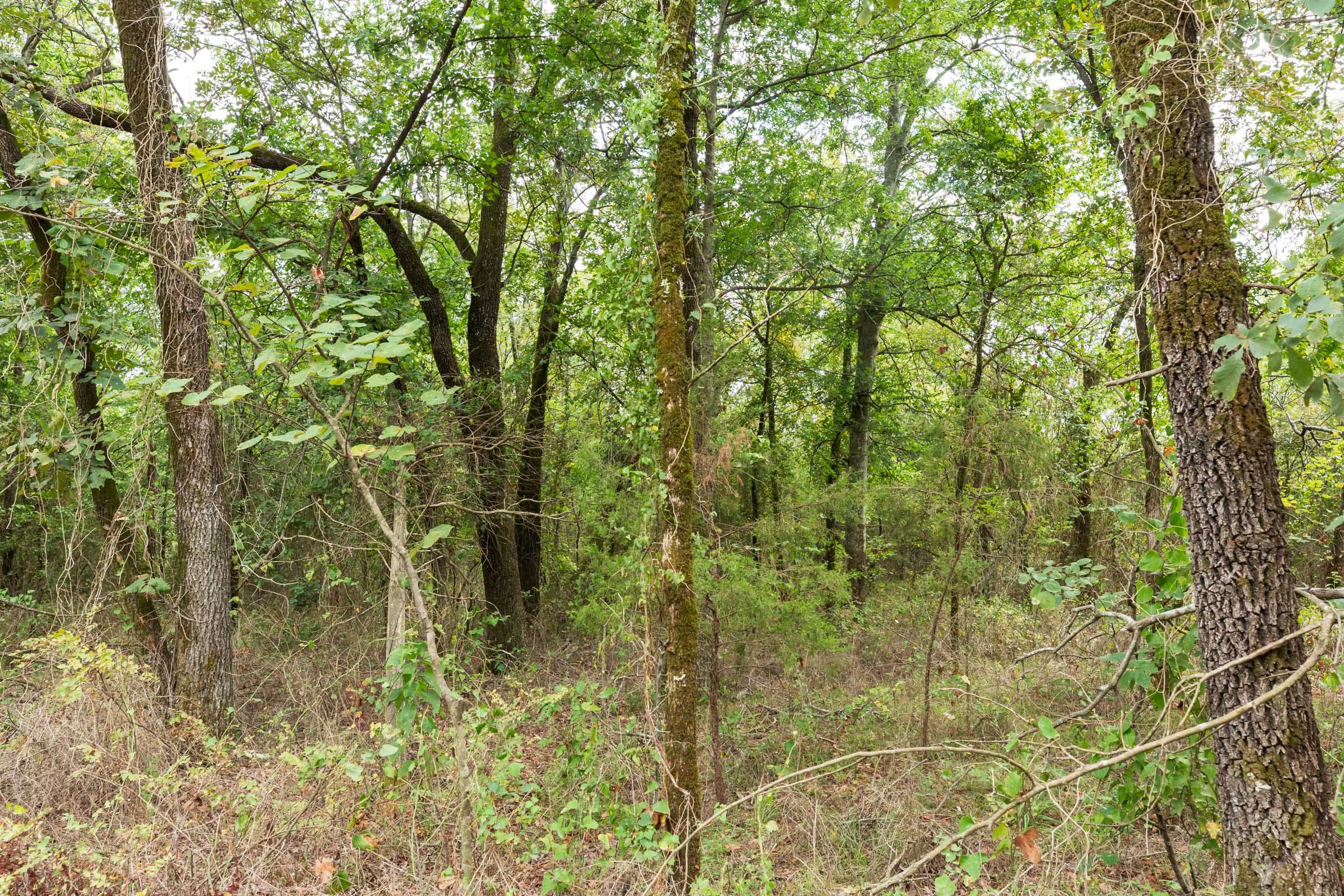 Stone Bridge Phase V Tract 412 photo 10