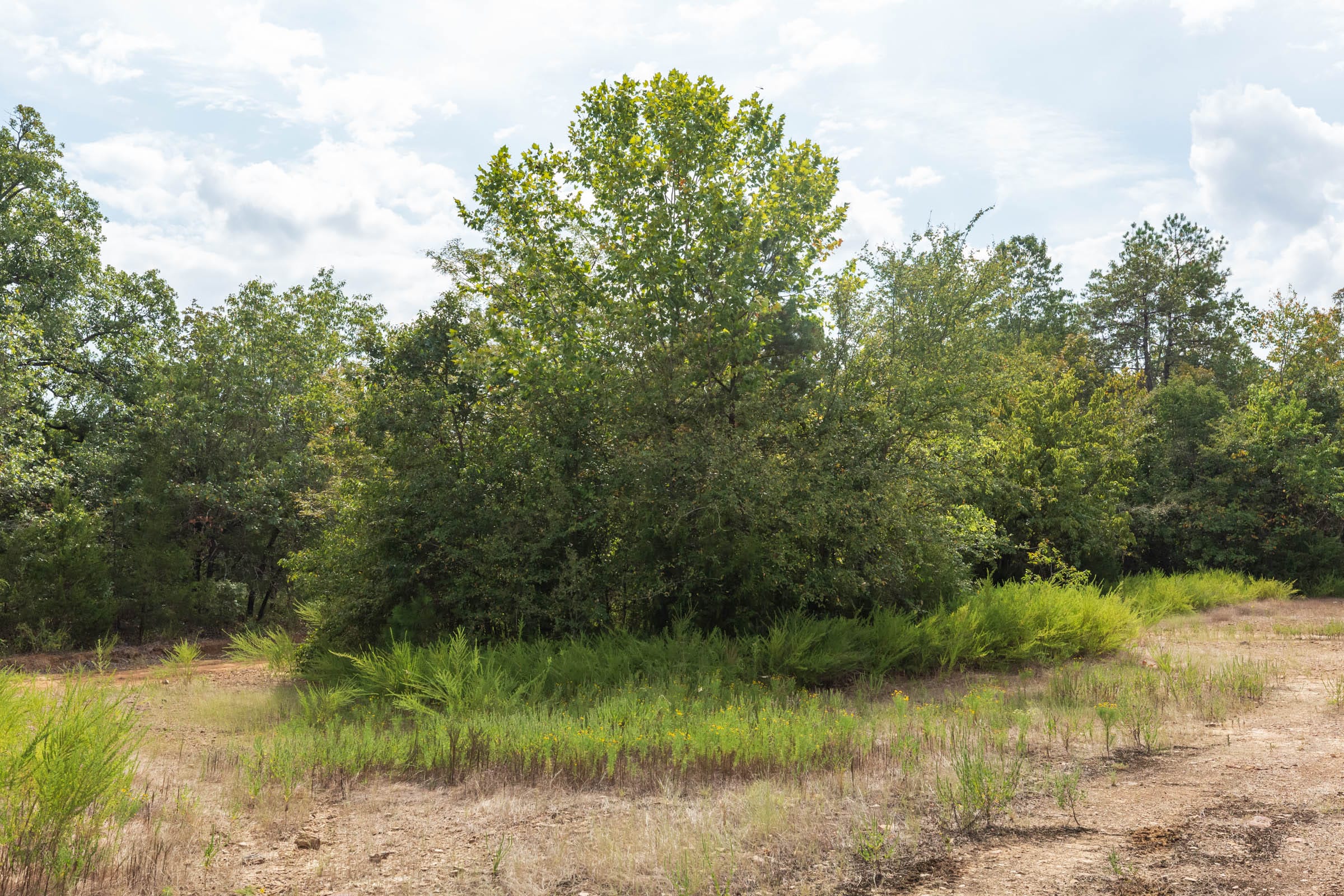 Stone Bridge Phase V Tract 412 photo 14