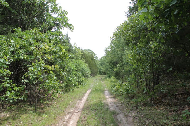Cedar Ridge Ranch Tract 20 photo 1