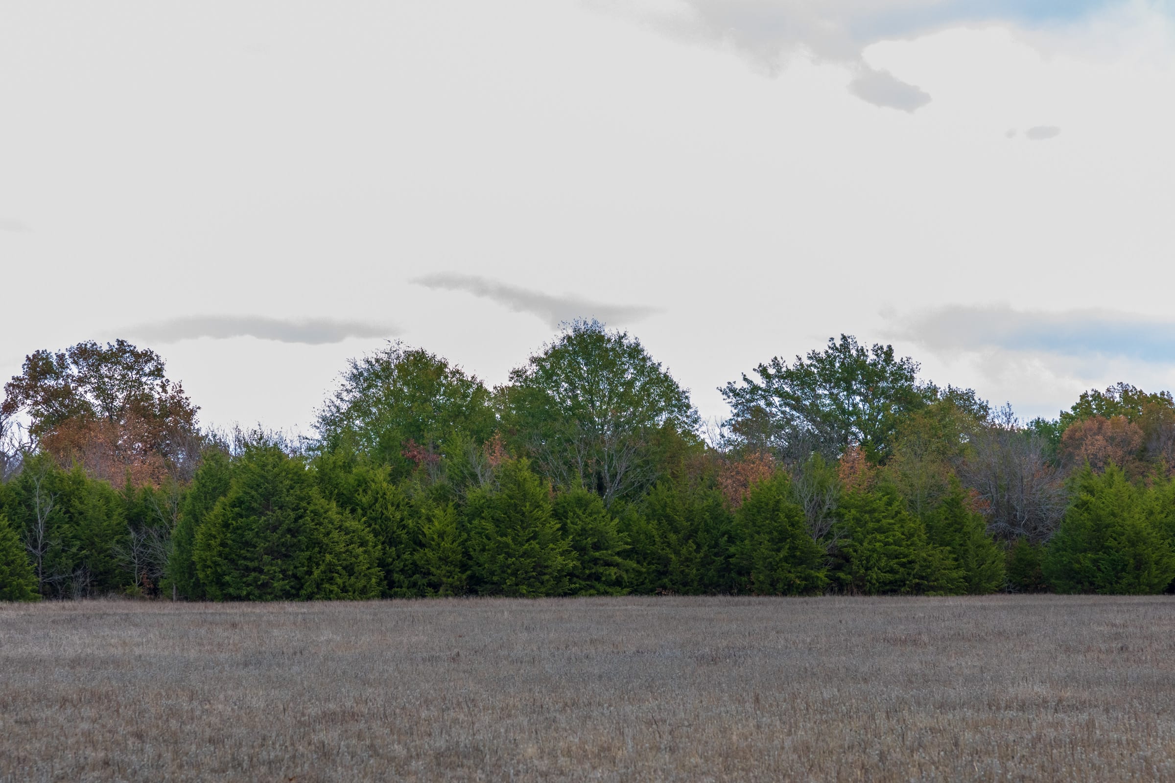 Crystal Springs Tract 9 photo 3